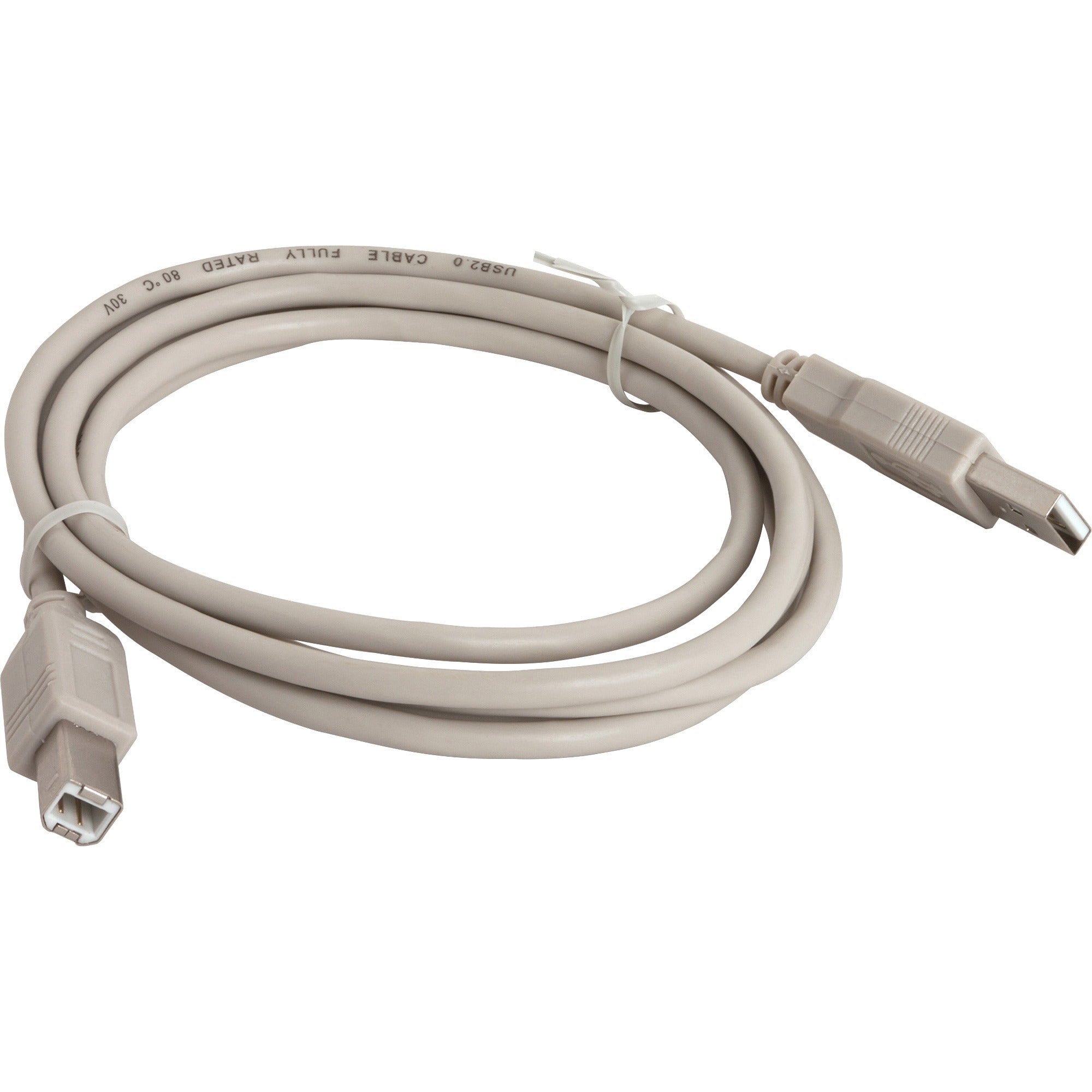 Compucessory USB 2.0 A-B Printer Cables - 6 ft USB Data Transfer Cable - First End: 1 x USB Type A - Male - Second End: 1 x USB Type B - Male - Gray - 1 Each -