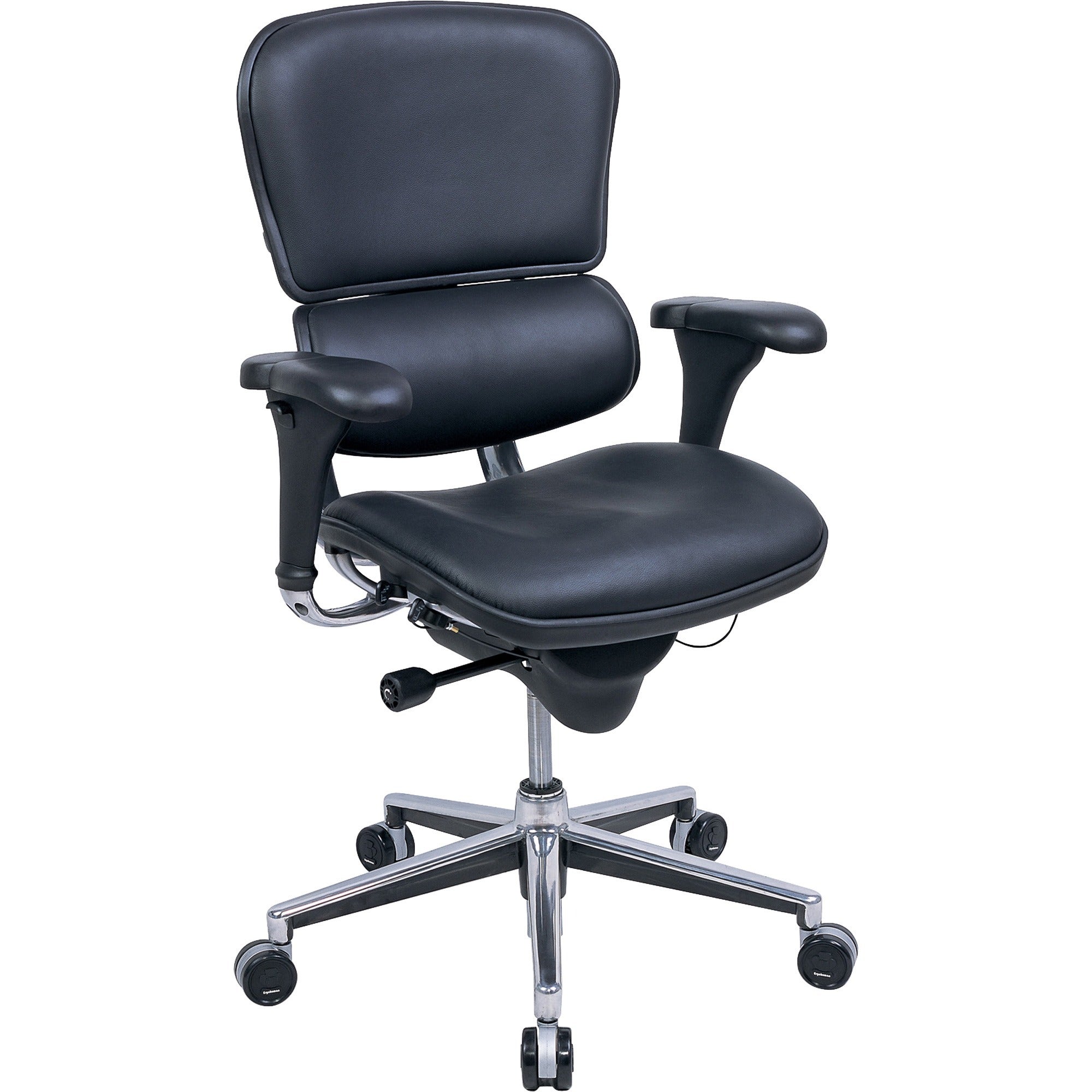 raynor-ergohuman-le10erglo-mid-back-management-chair-26-x-275-x-40--46-leather-seat_eutle10erglo - 1