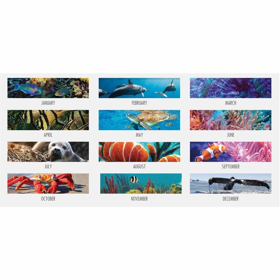 House of Doolittle EarthScapes Sea Life Desk Pads - Julian Dates - Monthly - 12 Month - January 2024 - December 2024 - 1 Month Single Page Layout - 22" x 17" Sheet Size - 2.25" x 3.06" Block - Desk Pad - White - Leatherette, Paper - Holder, Notepad, -