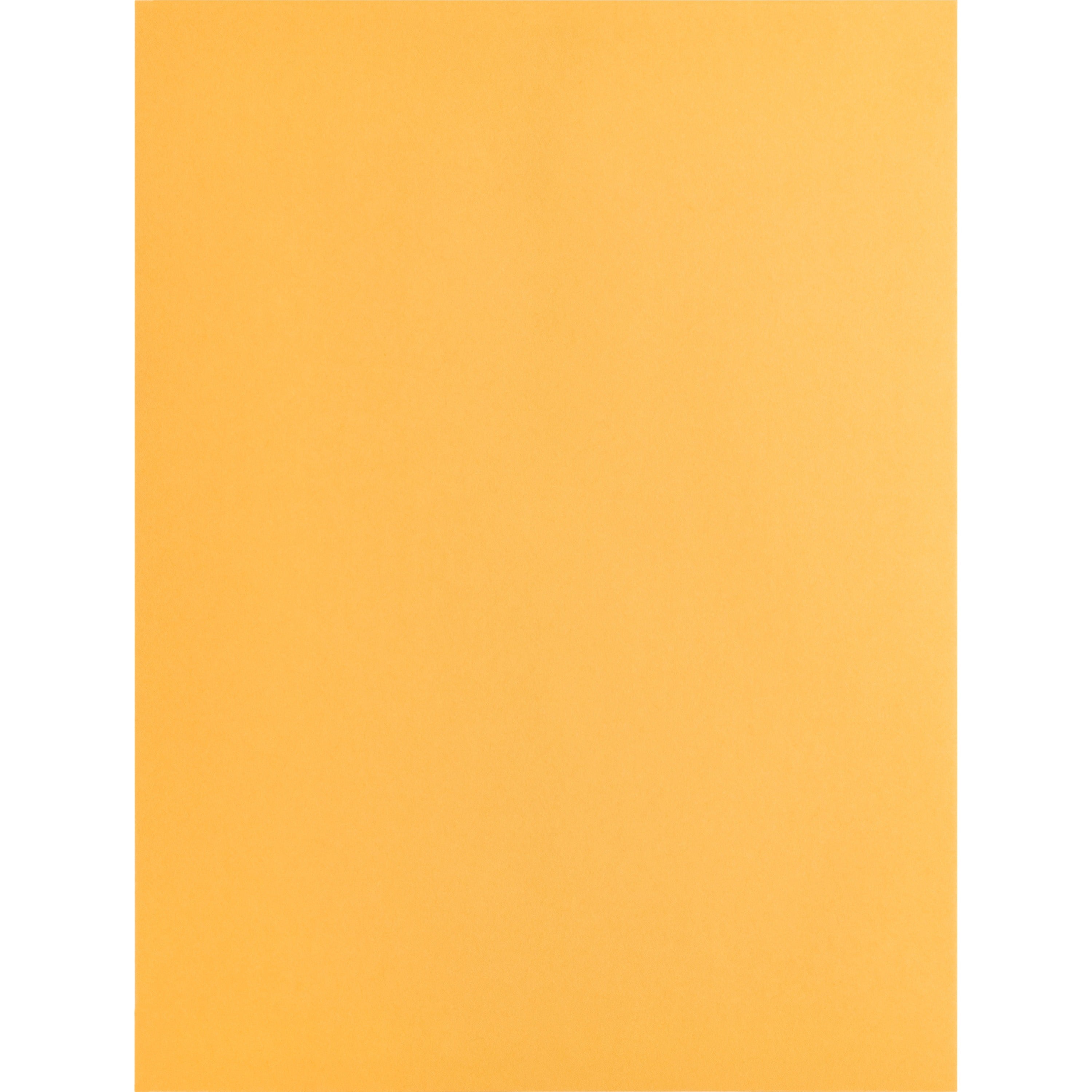 Business Source Kraft Gummed Catalog Envelopes - Catalog - #10 1/2 - 9" Width x 12" Length - 28 lb - Gummed - Kraft - 250 / Box - Kraft -