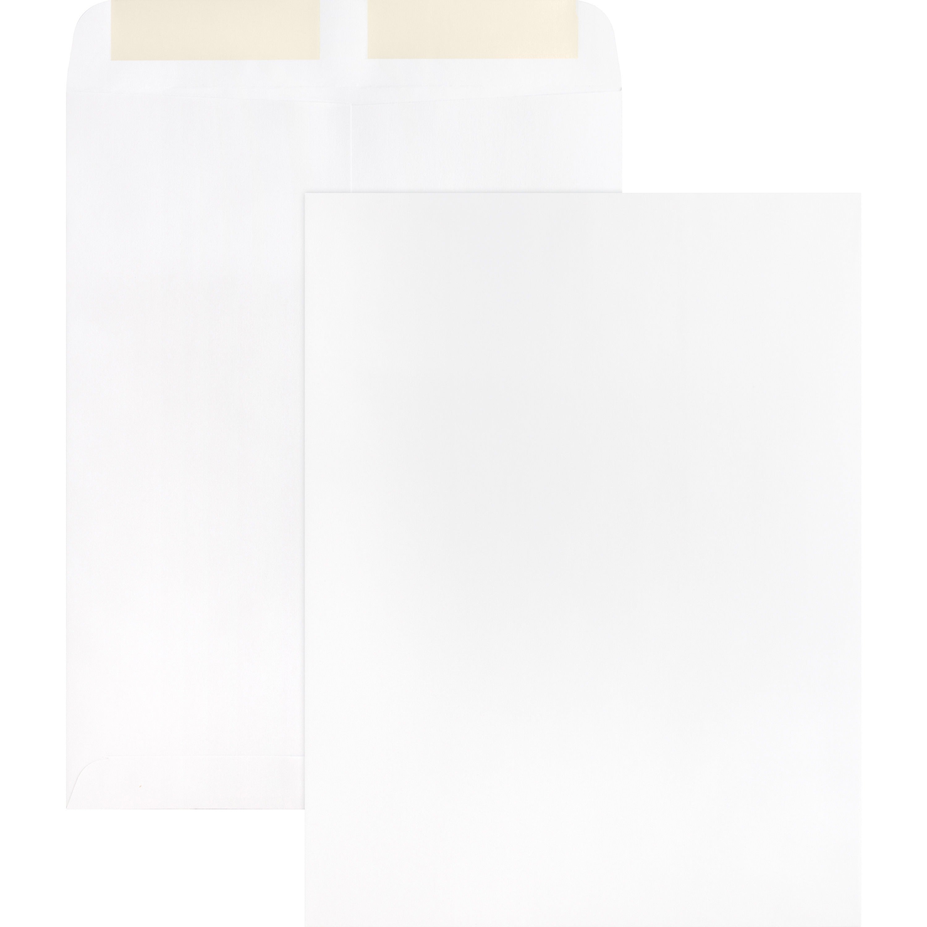 Business Source 28 lb. White Catalog Envelopes - Catalog - #10 1/2 - 9" Width x 12" Length - 28 lb - Gummed - Wove - 250 / Box - White -