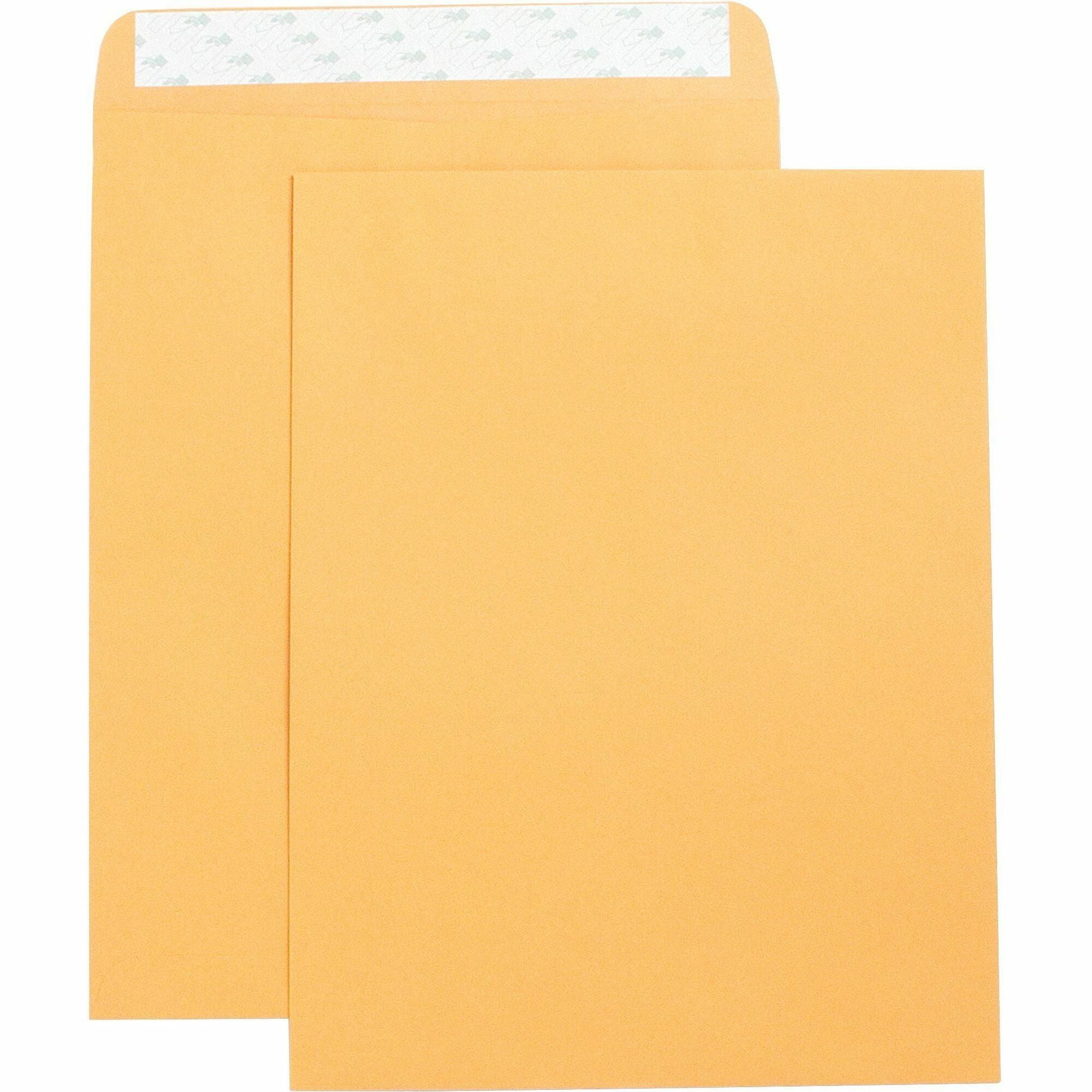 Business Source Self Adhesive Kraft Catalog Envelopes - Catalog - 10" Width x 13" Length - 28 lb - Self-sealing - Kraft - 250 / Box - Brown Kraft -
