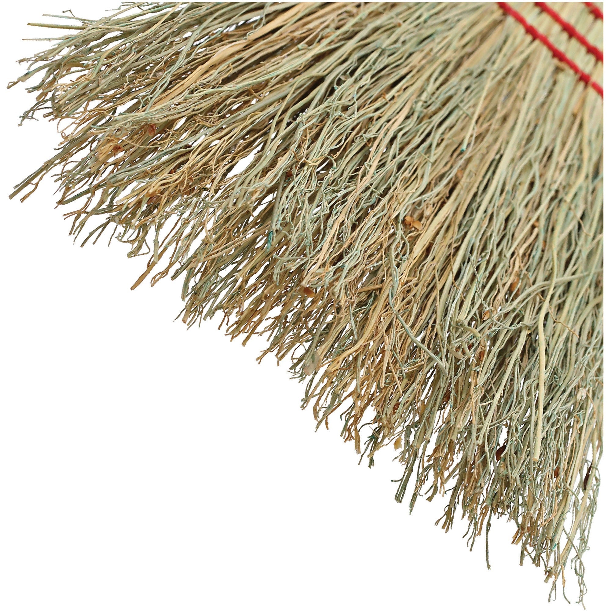 Genuine Joe Whisk Broom - 1 Each - Natural -