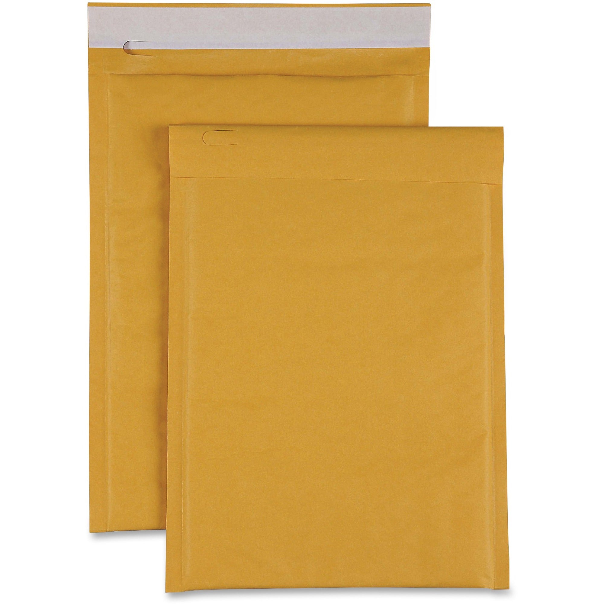 Sparco Size 00 Bubble Cushioned Mailers - Bubble - #00 - 5" Width x 10" Length - Self-sealing - Kraft - 250 / Carton - Kraft -