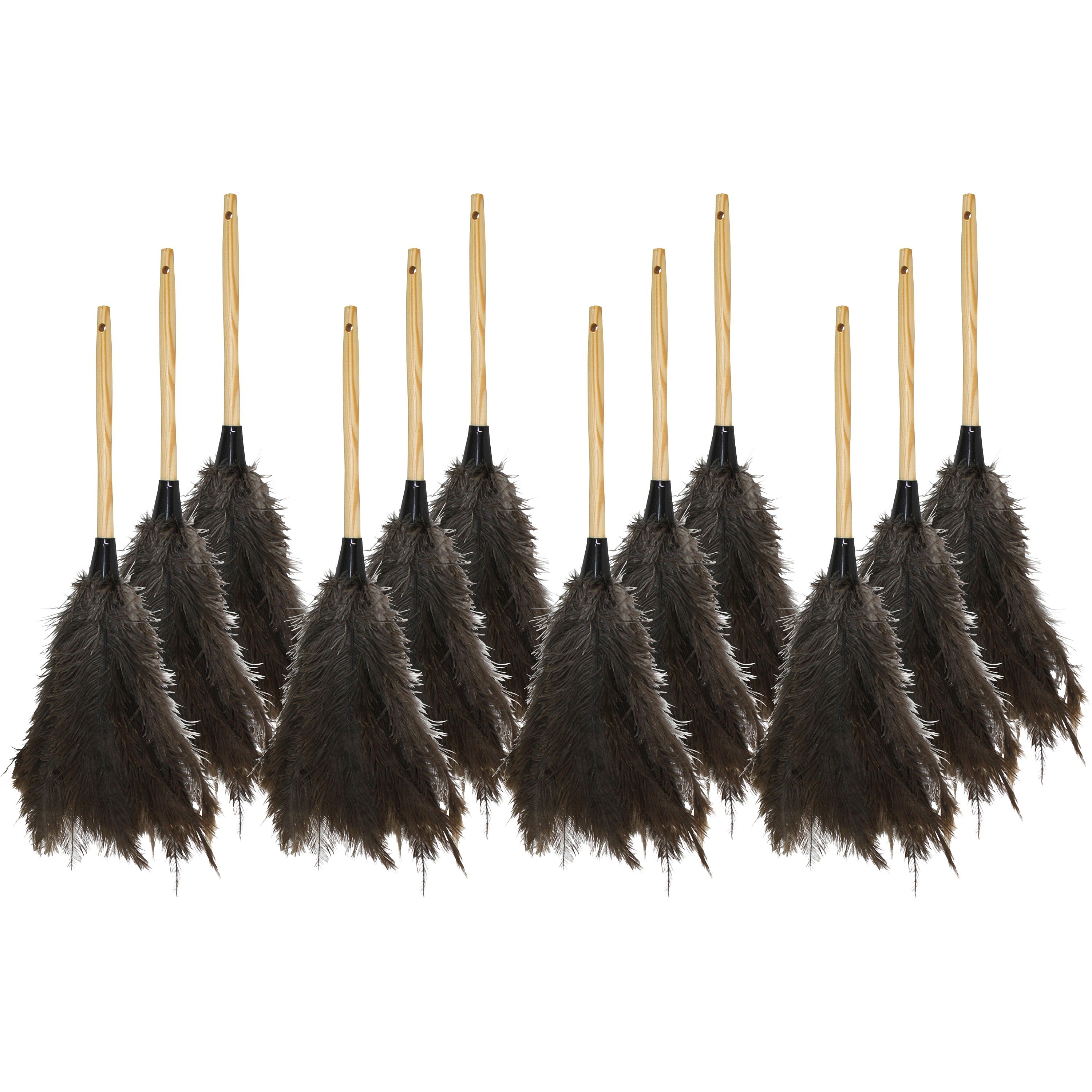 Genuine Joe Feather Duster - 12 / Carton - Brown - 1