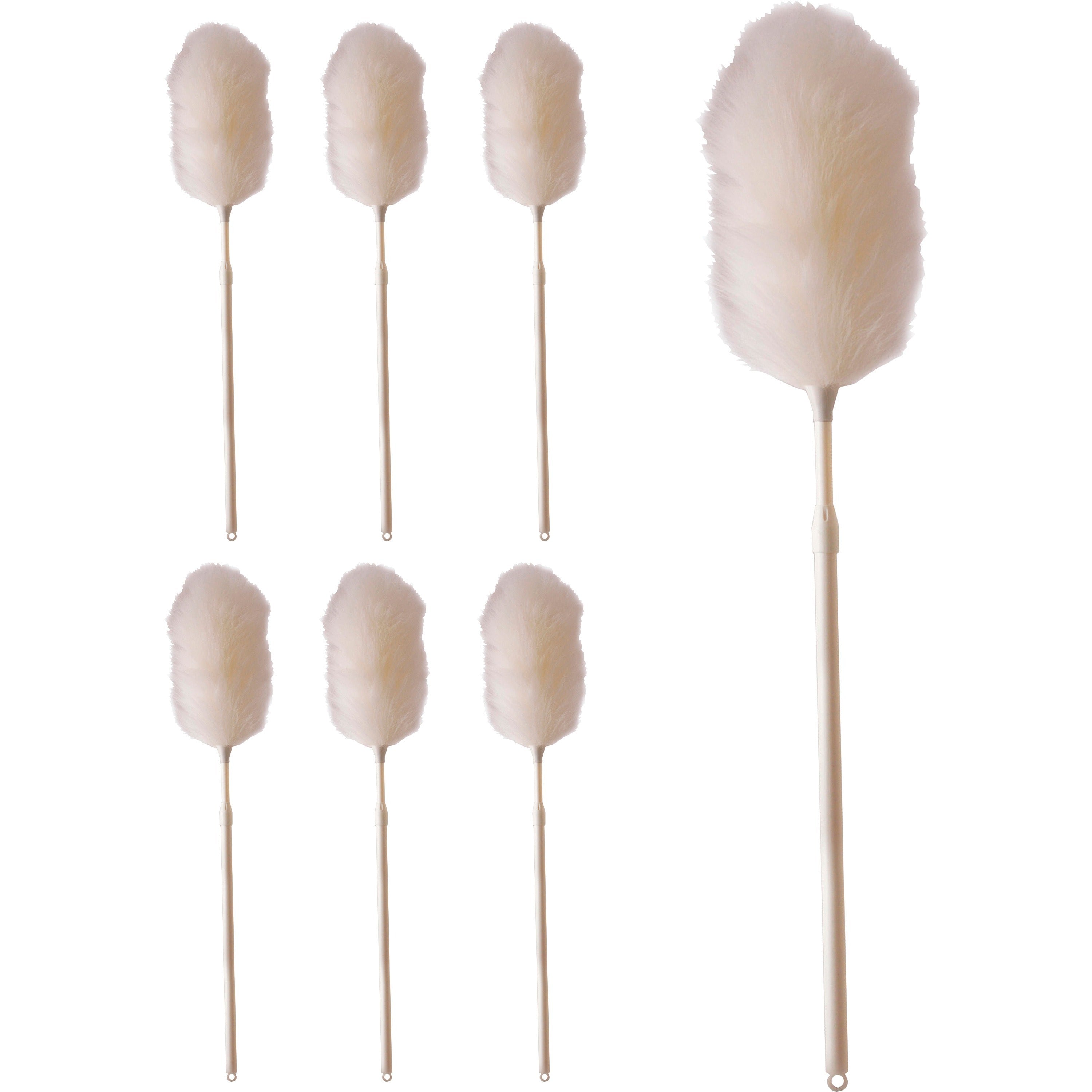 ettore-lightweight-lambswool-duster-lambs-wool-bristle-42-handle-length-6-carton_eto48720ct - 1