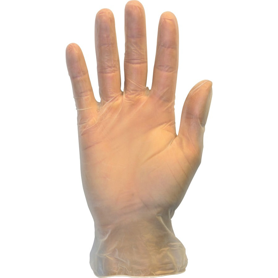 Safety Zone Powder Free Clear Vinyl Gloves - Large Size - Clear - Latex-free, DEHP-free, DINP-free, PFAS-free - For Food Preparation, Cleaning - 1000 / Carton - 9.25" Glove Length - 2