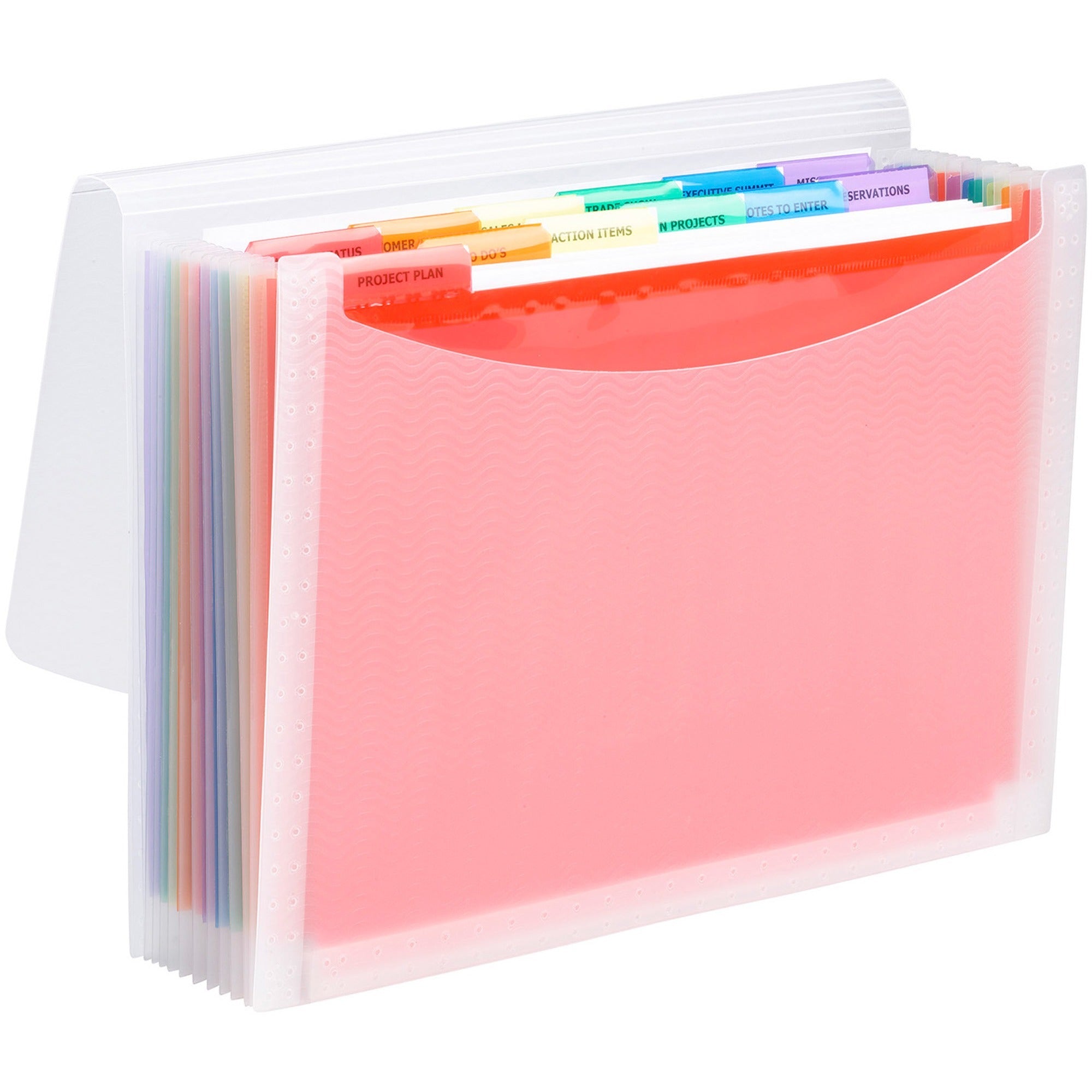 ColorVue Expanding File, 13 Sections, Cord/Hook Closure, 1/6-Cut Tabs, Letter Size, Randomly Assorted Colors - 1