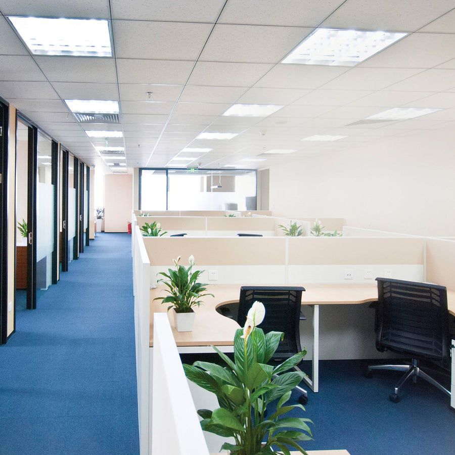 satco-11-watt-led-t8-bulb_sdns49936 - 2