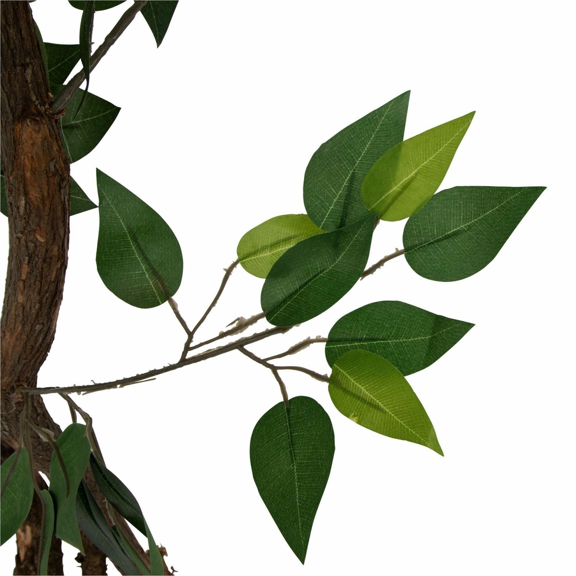 Artificial Ficus Tree, 6 ft Tall - 2