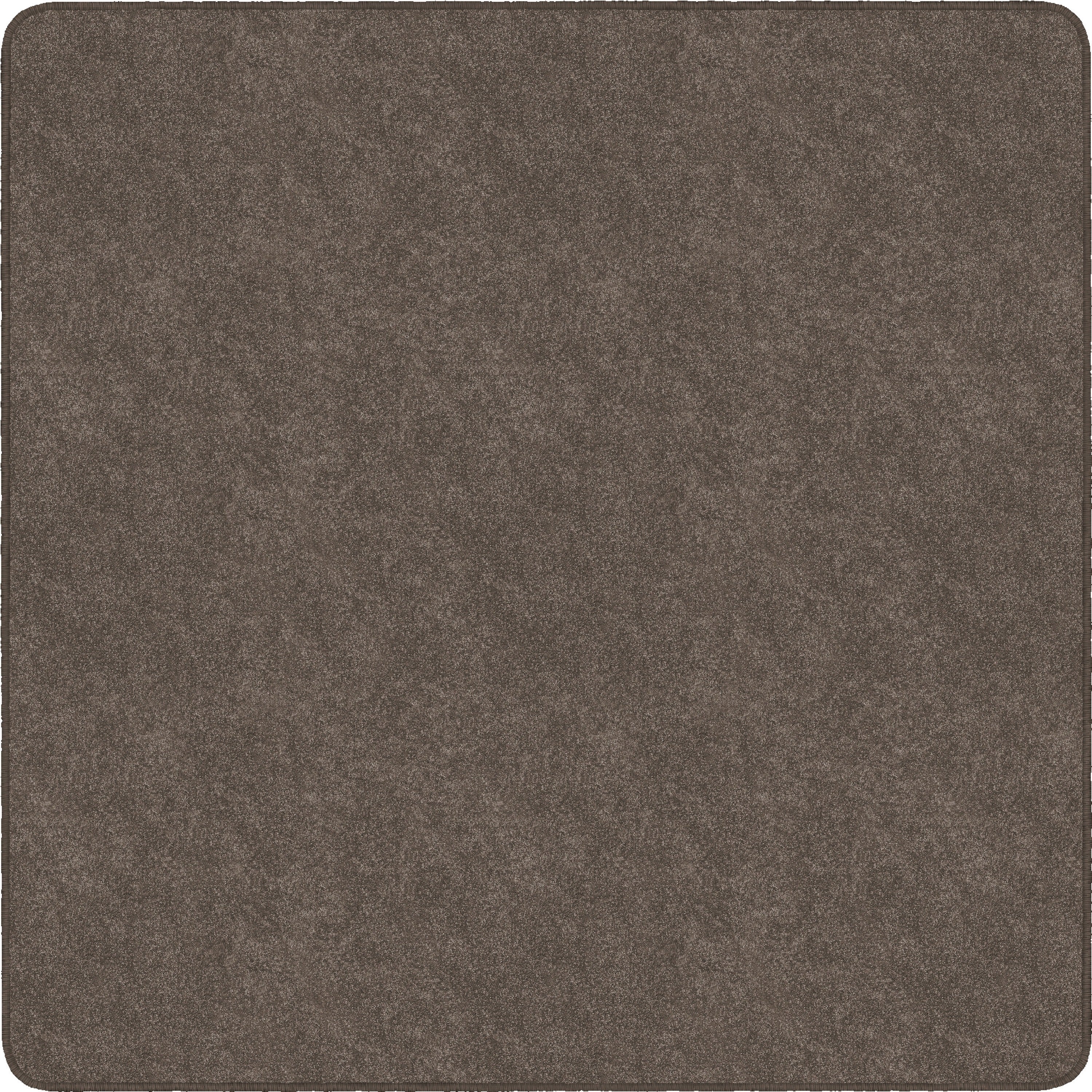 Flagship Carpets Amerisoft Solid Color Rug - 12 ft Length x 12 ft Width - Square - Wheat - Nylon, Polyester - 1