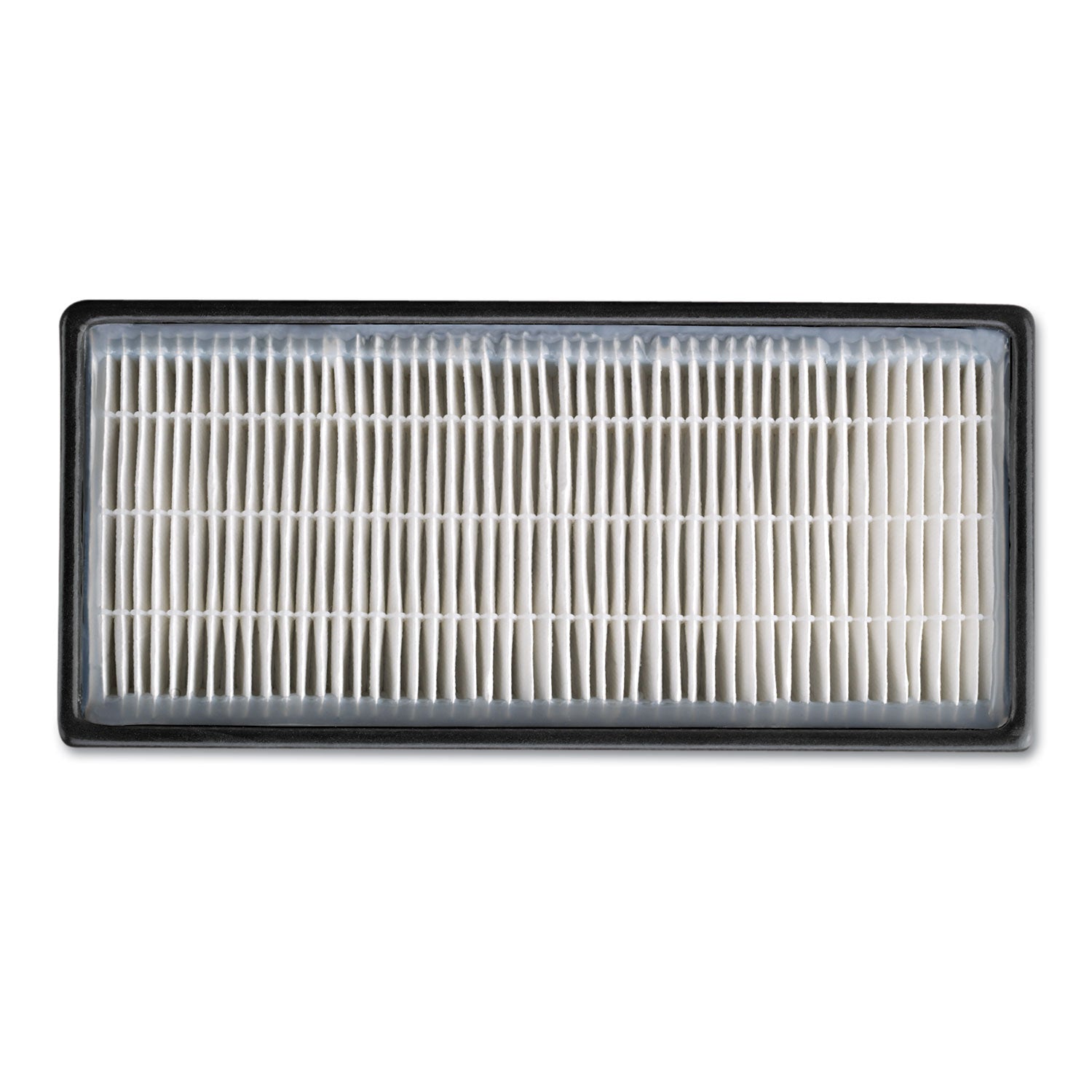 HEPAClean Replacement Filter, 5 x 10.2, 2/Pack -