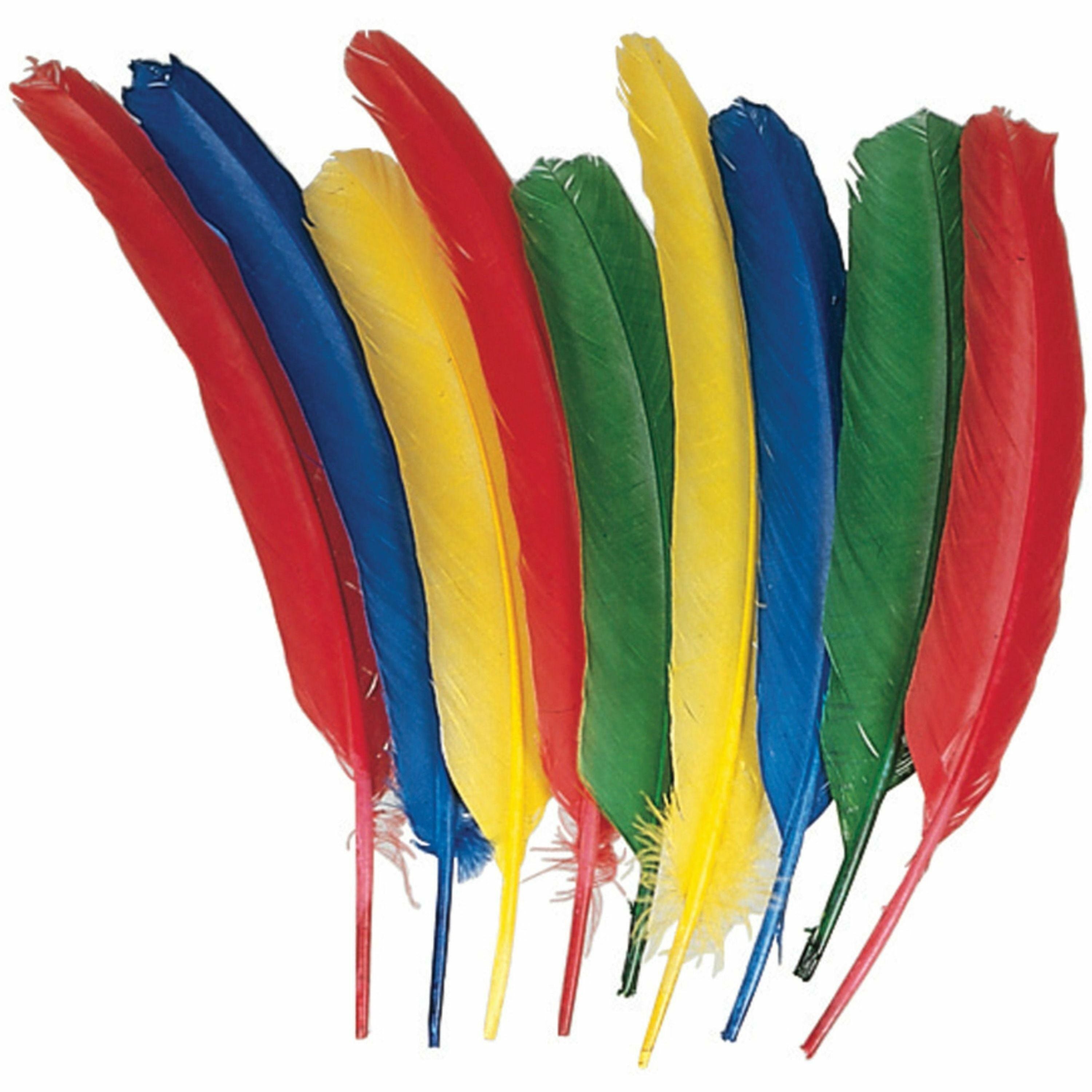 creativity-street-quill-feathers-multipurpose-24-pieces-24-pack-multicolor_pac4503 - 1