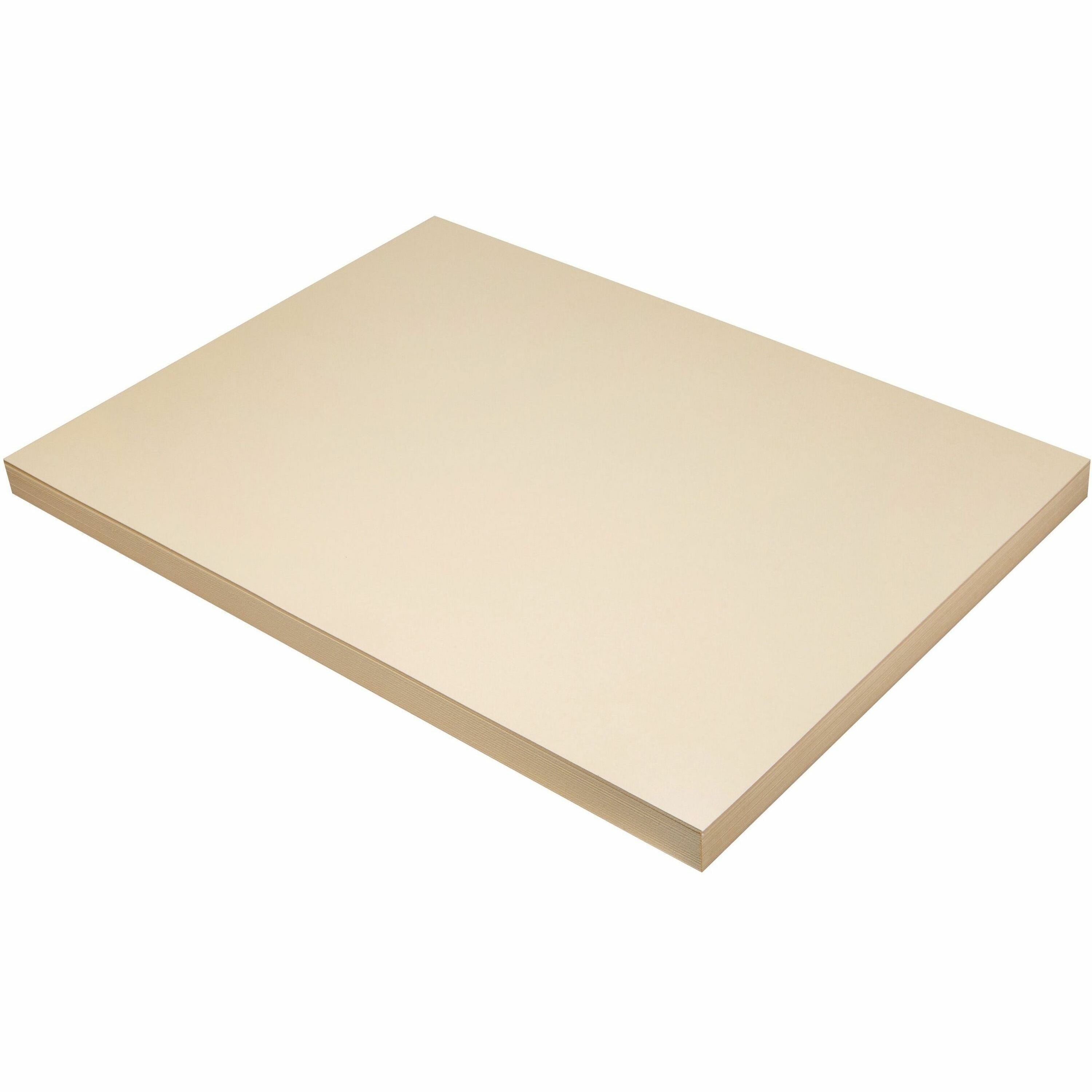 Pacon Tagboard - Art, Craft - 18"Width x 24"Length - 100 / Pack - Manila -