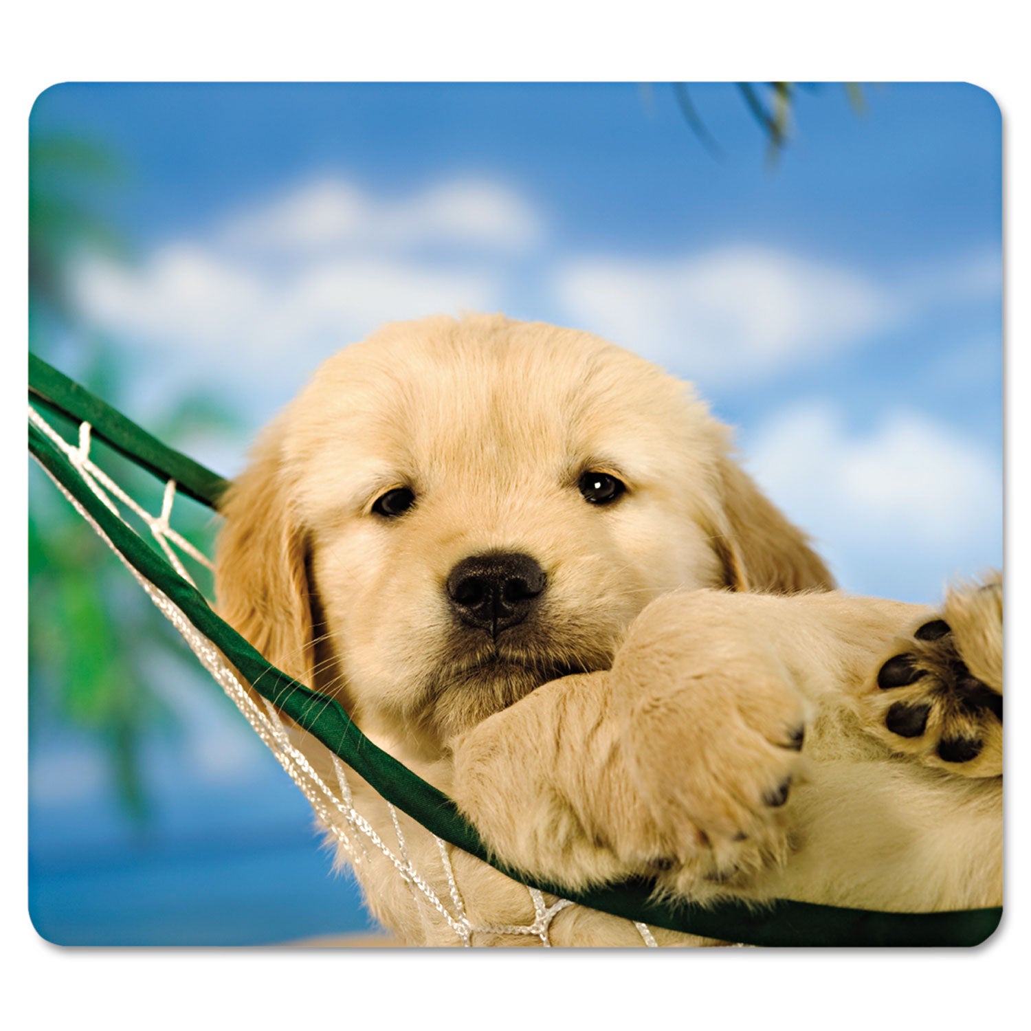 Recycled Mouse Pad, 9 x 8, Puppy in Hammock Design -
