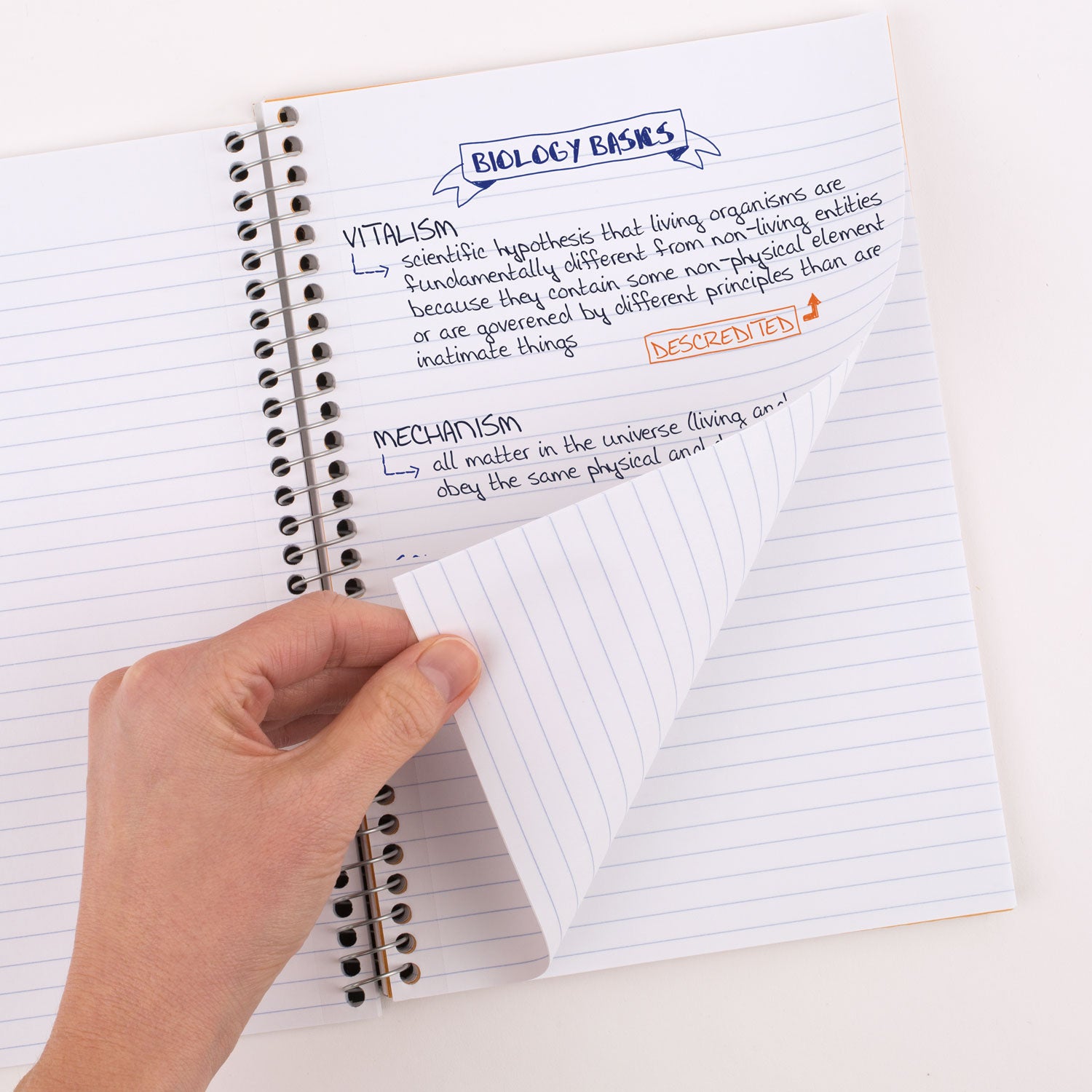 Mead Five Star Wirebound Subject Notebook - 2 Subject(s) - 100 Sheets - Spiral Bound - 6" x 9 1/2" - 9" x 7" x 2" - Assorted Cover - Durable Cover, Bleed Resistant, Perforated, Spiral Lock, Pocket Divider, Durable Cover, Smooth - 6 / Pack - 2