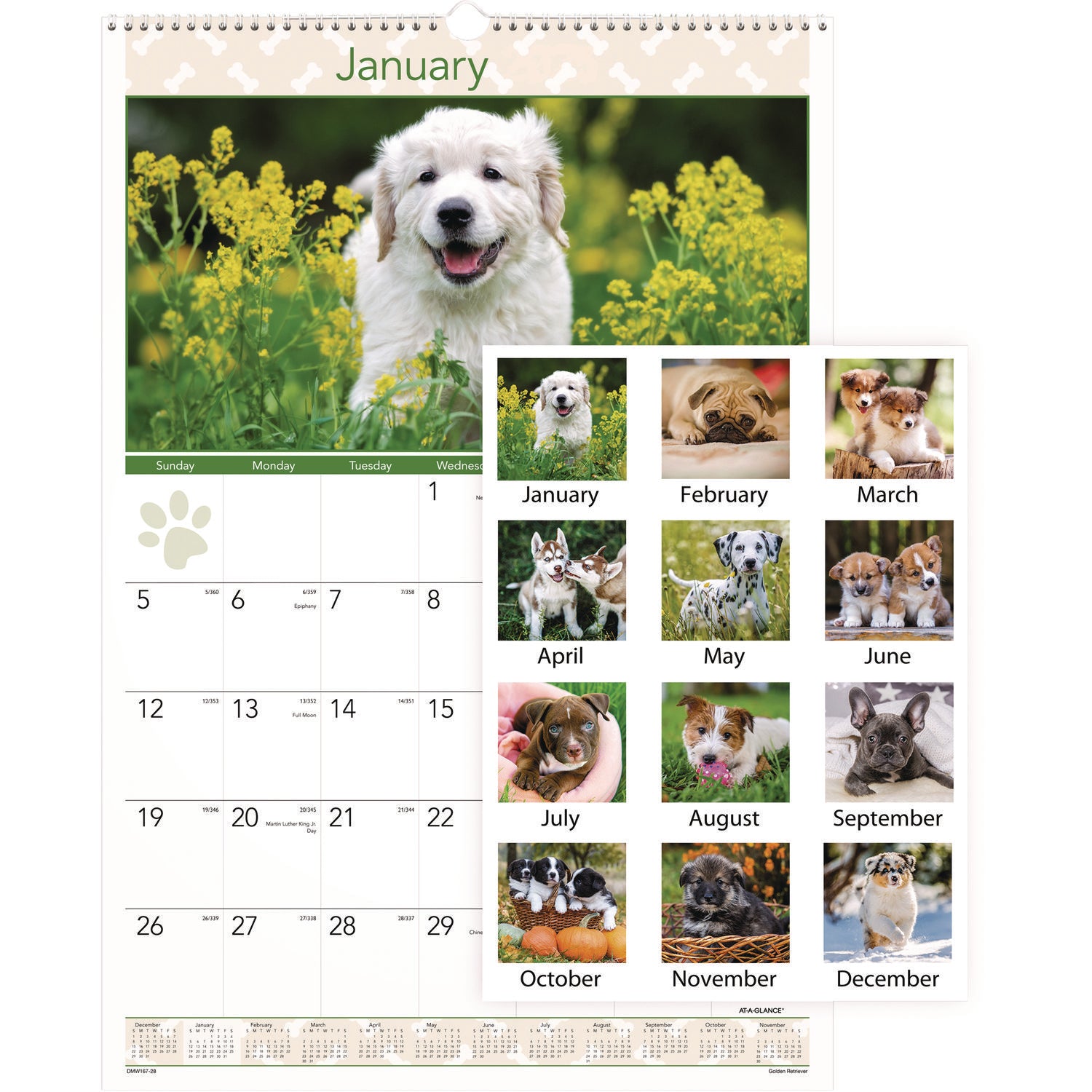 At-A-Glance Puppies Wall Calendar - Large Size - Julian Dates - Monthly, Yearly - 12 Month - January 2024 - December 2024 - 1 Month Single Page Layout - 15 1/2" x 22 3/4" White Sheet - 2" x 2.13" Block - Wire Bound - White - Chipboard, Paper - Hangin - 2