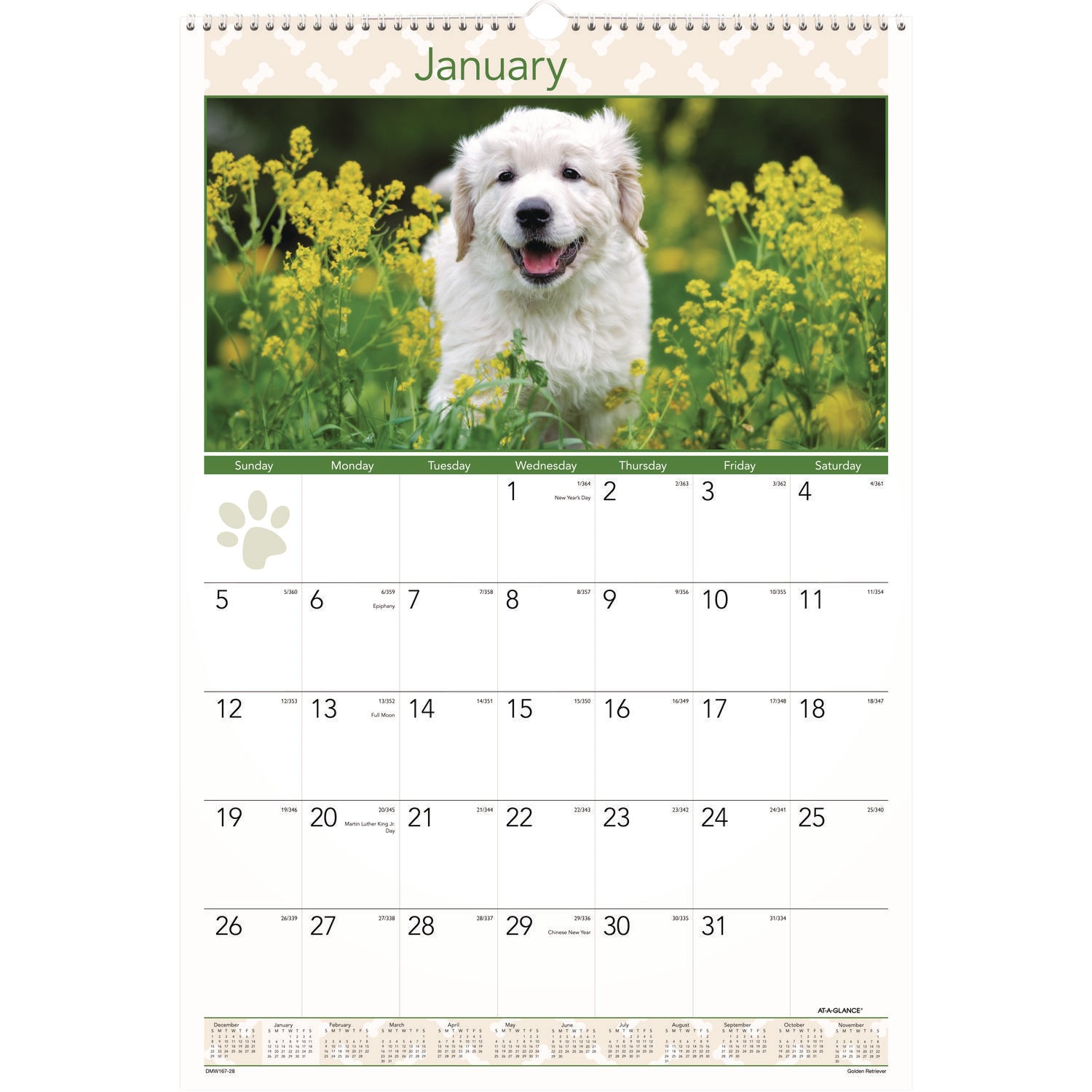 At-A-Glance Puppies Wall Calendar - Large Size - Julian Dates - Monthly, Yearly - 12 Month - January 2024 - December 2024 - 1 Month Single Page Layout - 15 1/2" x 22 3/4" White Sheet - 2" x 2.13" Block - Wire Bound - White - Chipboard, Paper - Hangin - 1