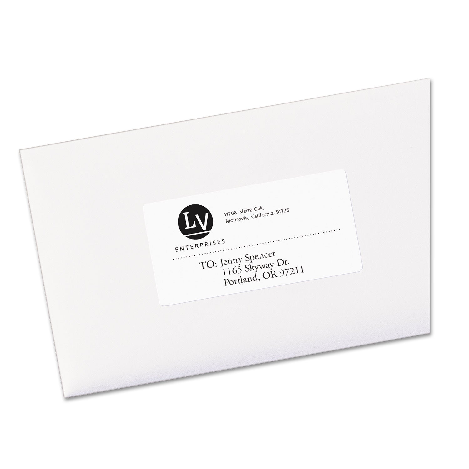 EcoFriendly Mailing Labels, Inkjet/Laser Printers, 2 x 4, White, 10/Sheet, 100 Sheets/Pack -
