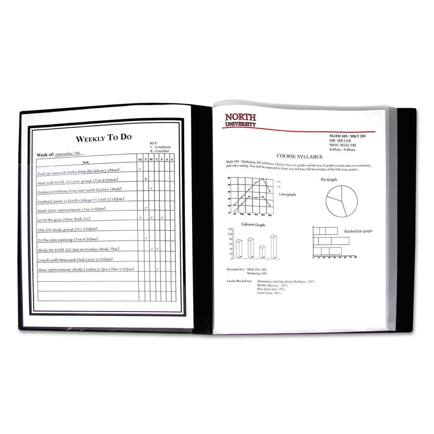 Bound Sheet Protector Presentation Book, 12 Letter-Size Sleeves, Black -