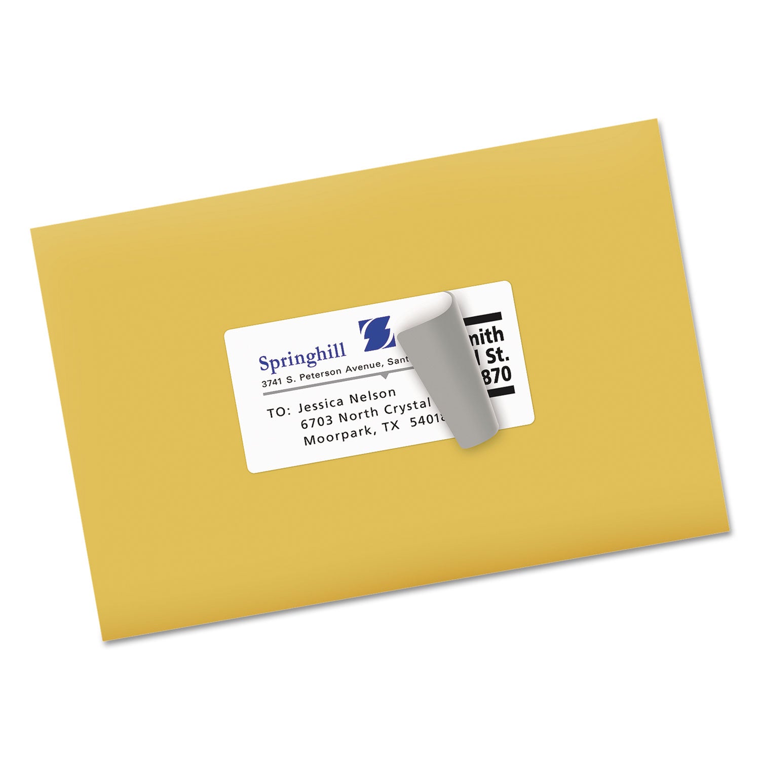 Shipping Labels w/ TrueBlock Technology, Inkjet Printers, 2 x 4, White, 10/Sheet, 50 Sheets/Box -