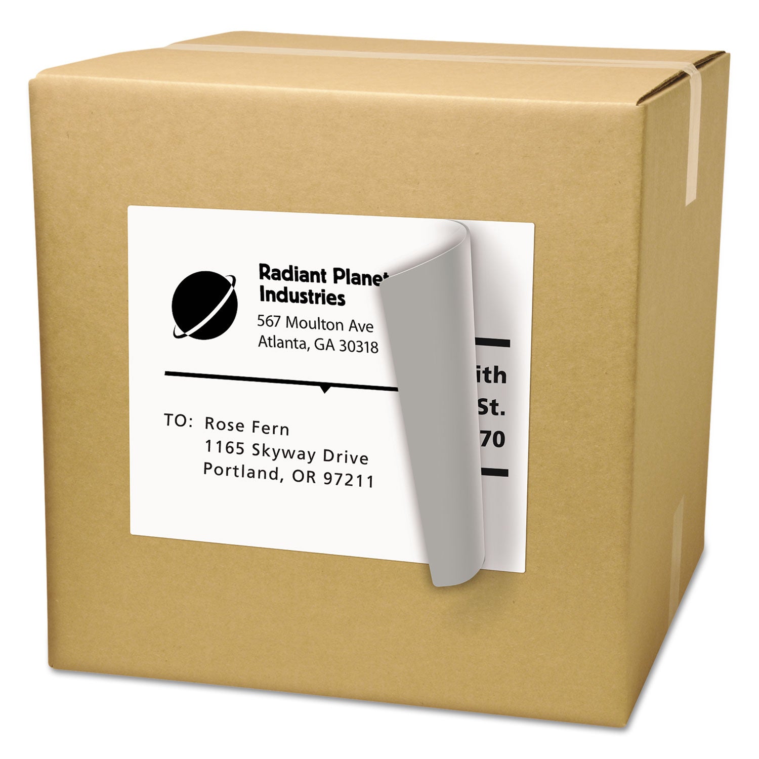 Shipping Labels with TrueBlock Technology, Laser Printers, 8.5 x 11, White, 25/Pack -