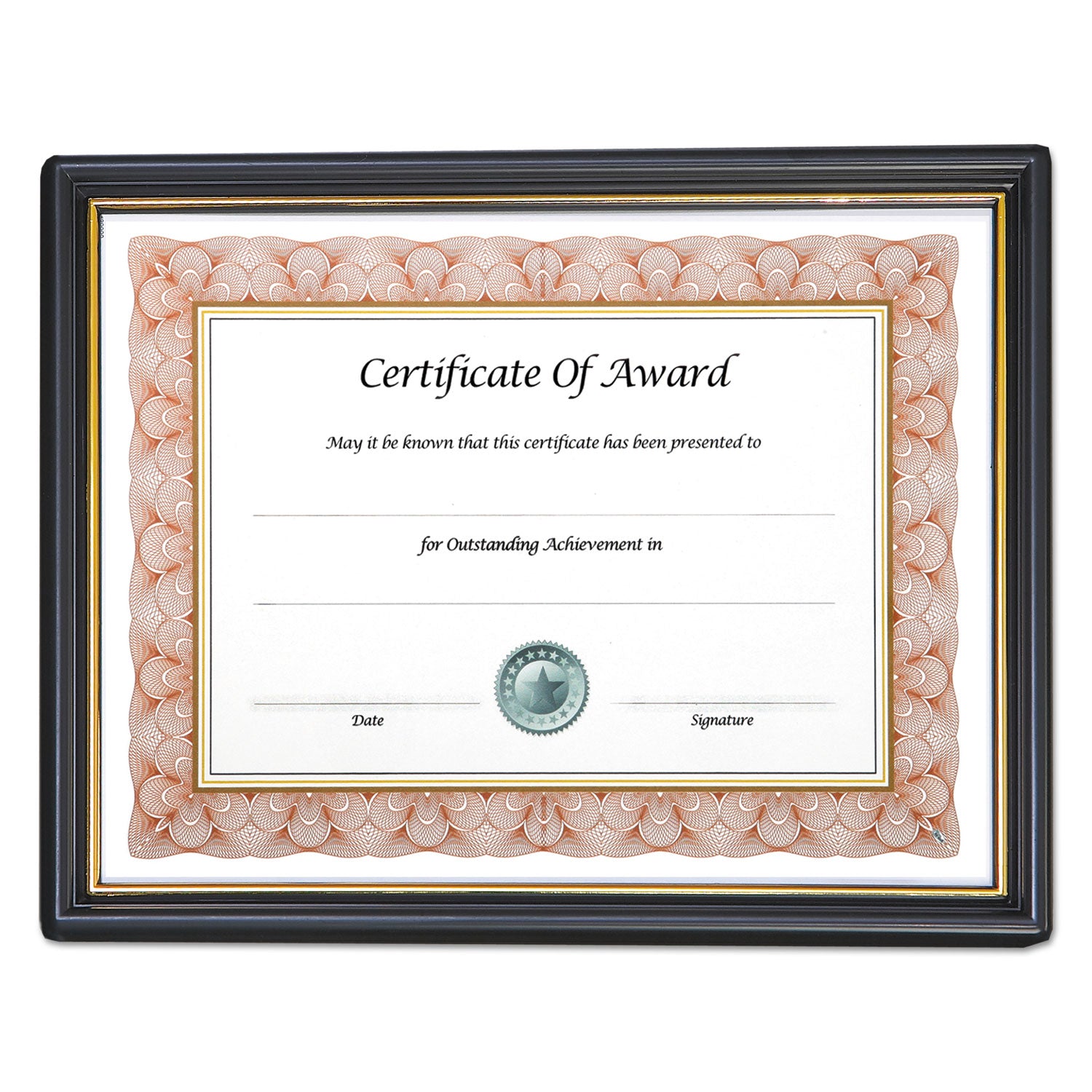 Economy Framed Achievement/Appreciation Awards, 11 x 8.5, Horiztontal Orientation, White with Black Border -