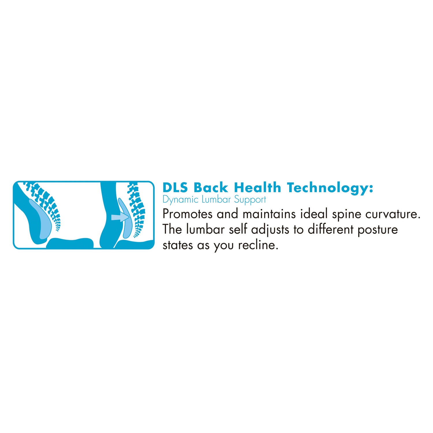 commercial-2000-big-tall-executive-chair-lumbar-supports-400-lb-2025-to-2325-seat-height-black-seat-back-silver-base_lzb48956 - 2