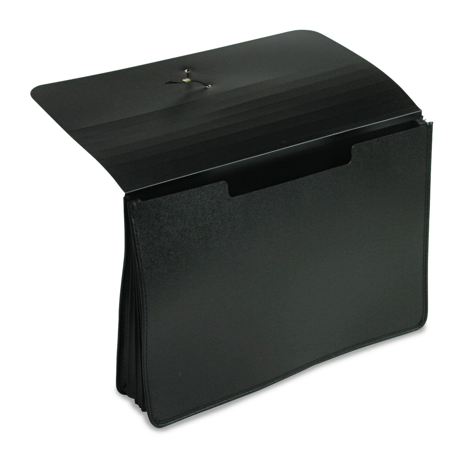 Expanding Portfolio, 5.25" Expansion, 1 Section, Elastic Cord Closure, Legal Size, Black -