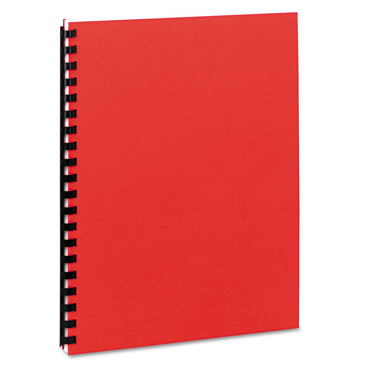 Eight-Pocket Organizer, Embossed Leather Grain, 11 x 8.5, Assorted Colors with White Pockets -