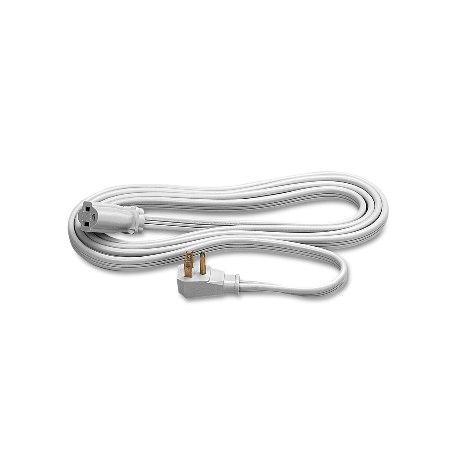 Indoor Heavy-Duty Extension Cord, 9 ft, 15 A, Gray -