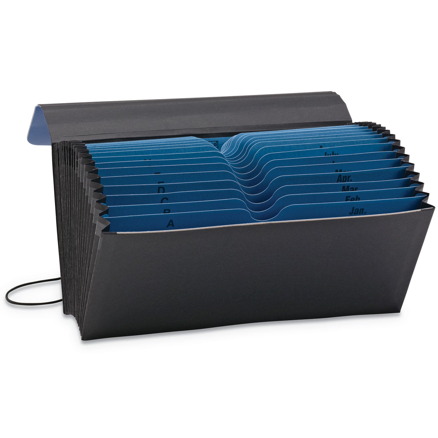 Handy File with Pockets, 21 Sections, Elastic Cord Closure, 1/2-Cut Tabs, Check Size, Black/Blue -