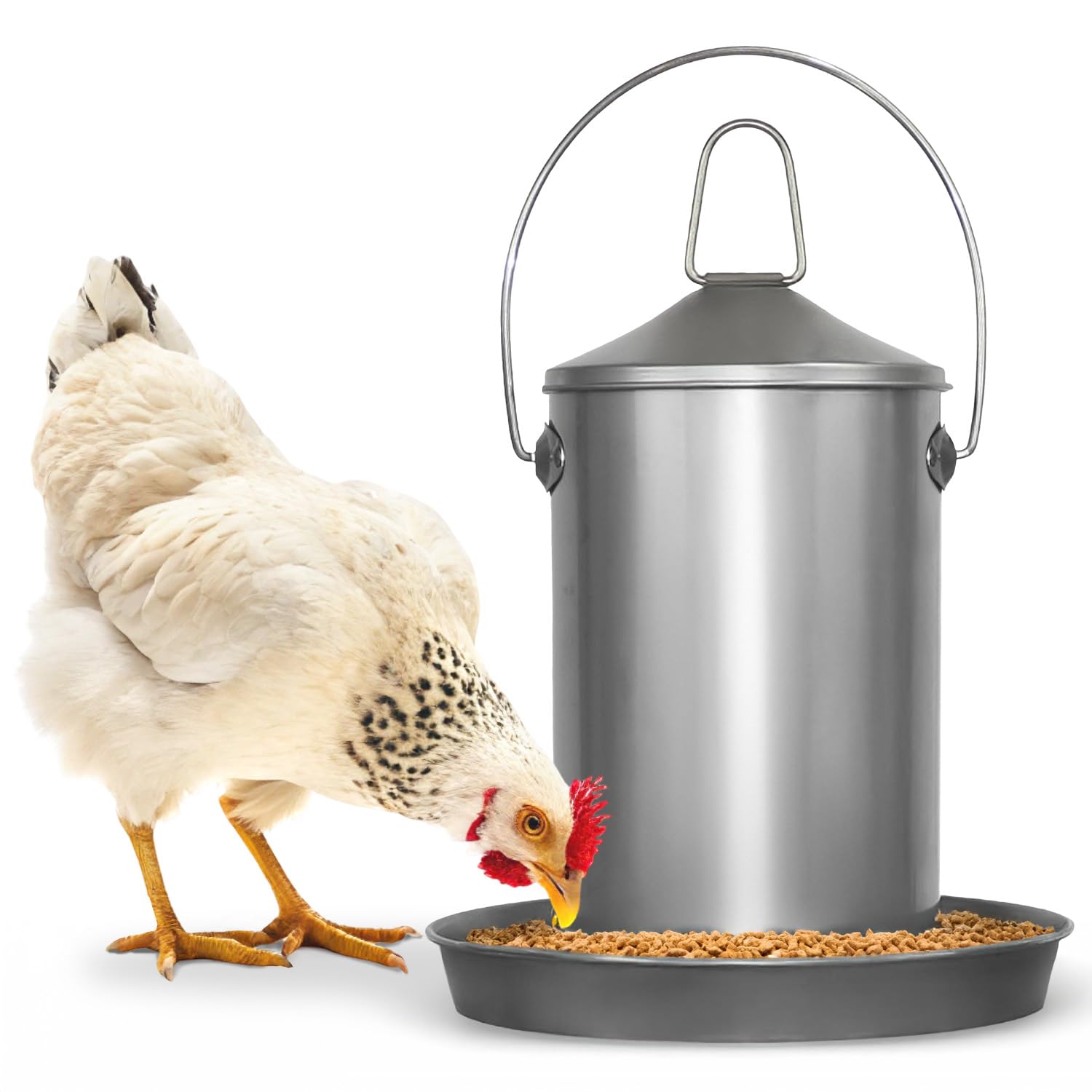 0.8 Gallon Stainless Steel Automatic Poultry Drinker