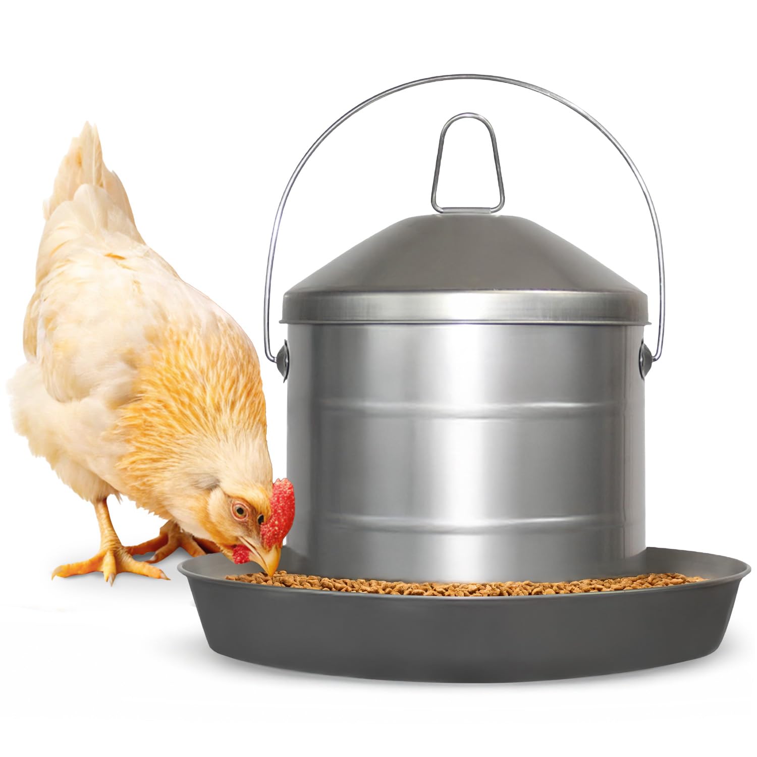 2 Gallon Stainless Steel Automatic Poultry Drinker