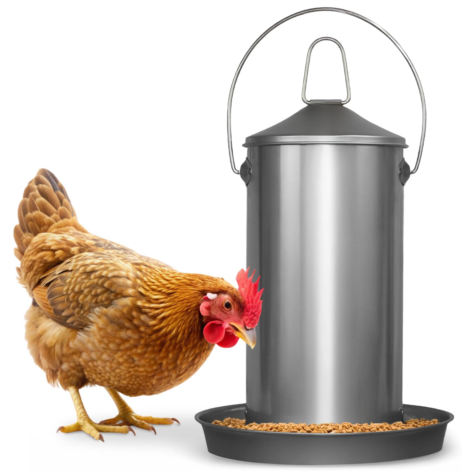 1 Gallon Stainless Steel Automatic Poultry Drinker