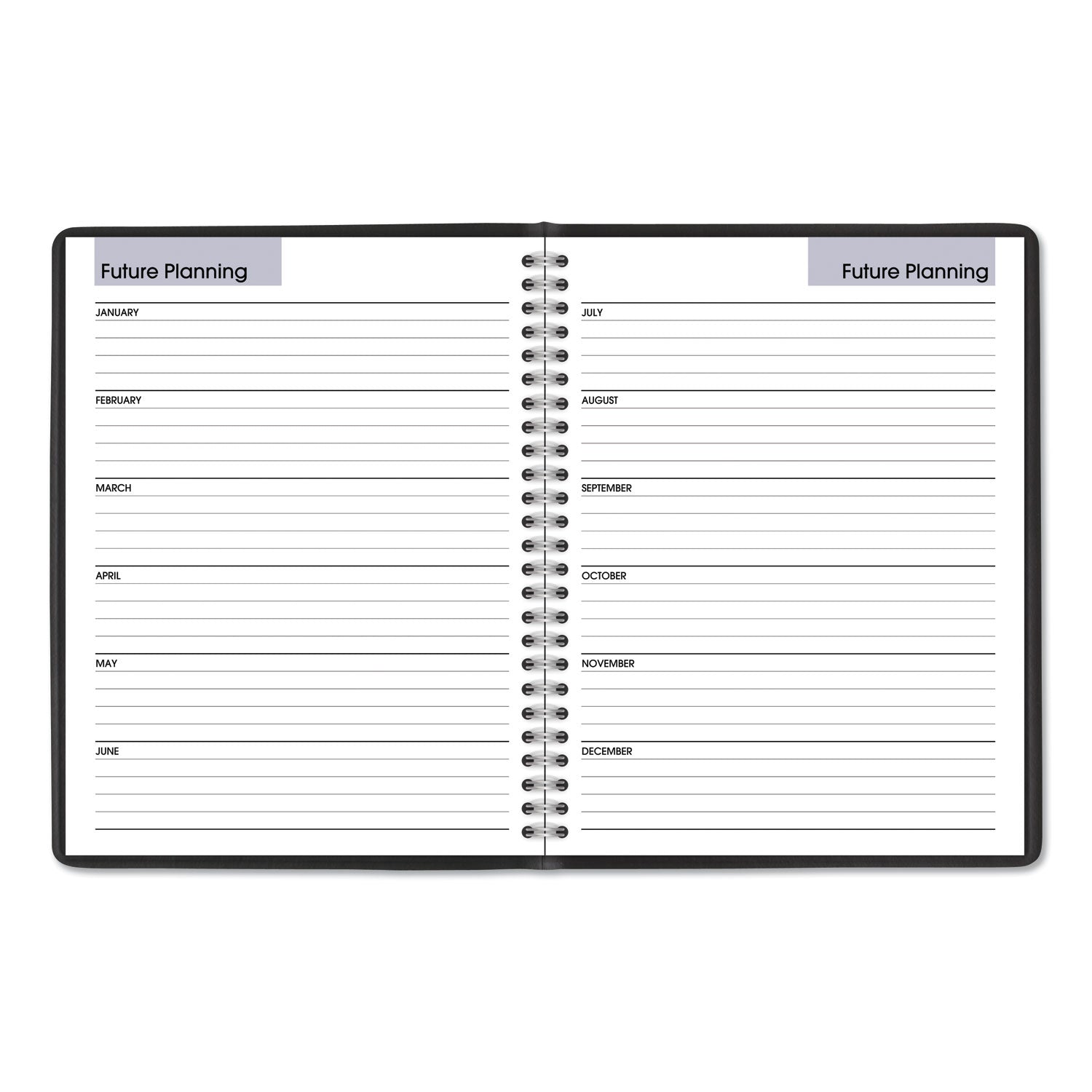 DayMinder Monthly Planner with Notes Column, Ruled Blocks, 8.75 x 7, Black Cover, 12-Month (Jan to Dec): 2024 -