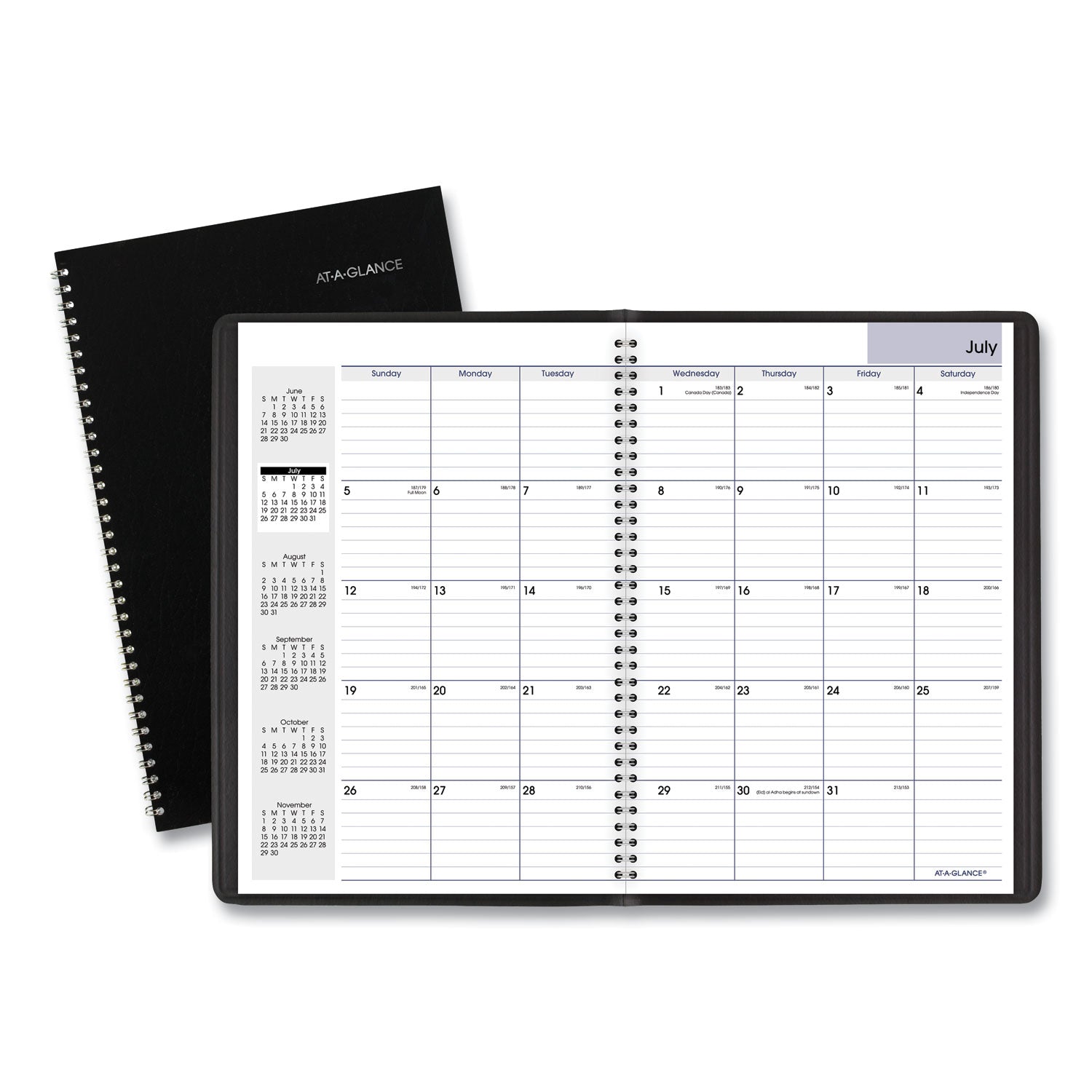 DayMinder Monthly Planner, Academic Year, Ruled Blocks, 12 x 8, Black Cover, 14-Month (July to Aug): 2023 to 2024 -