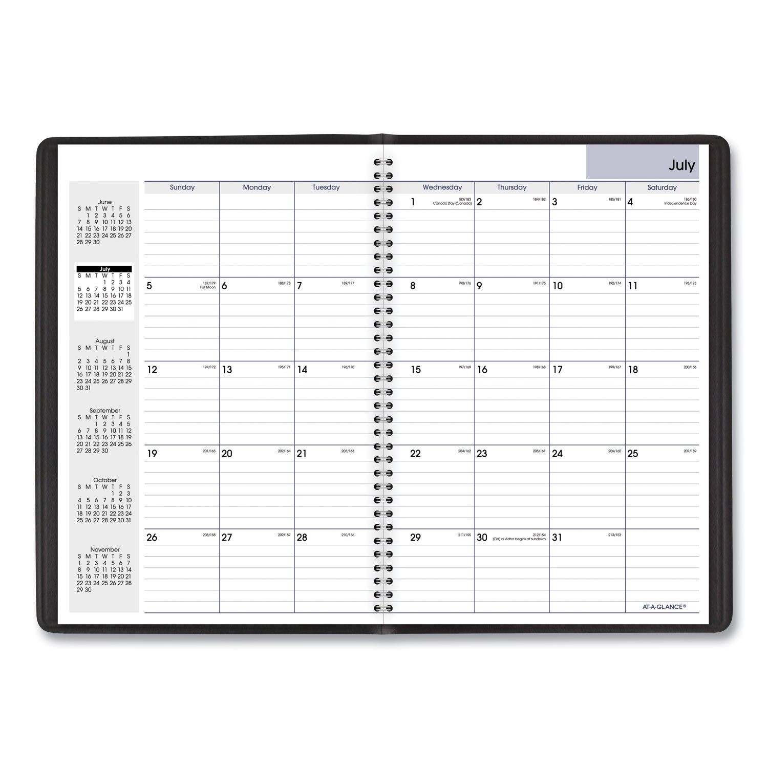 DayMinder Monthly Planner, Academic Year, Ruled Blocks, 12 x 8, Black Cover, 14-Month (July to Aug): 2023 to 2024 -