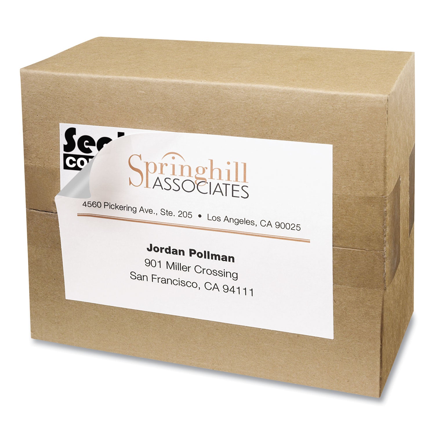 4 x 6 Shipping Labels with TrueBlock Technology, Inkjet/Laser Printers, 4 x 6, White, 20/Pack -