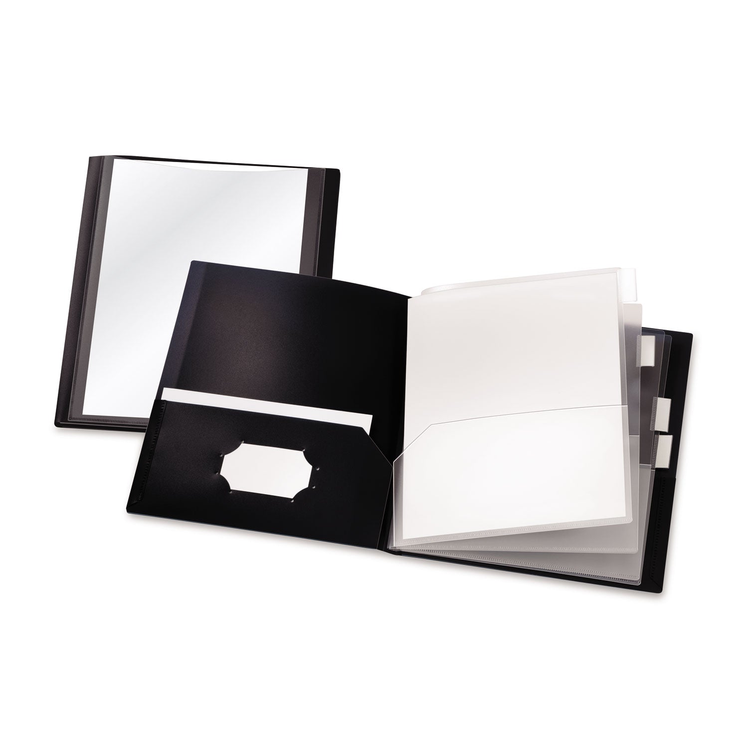 ReportPro 10-Pocket Project Organizer, 8.5 x 11, Clear/Black -