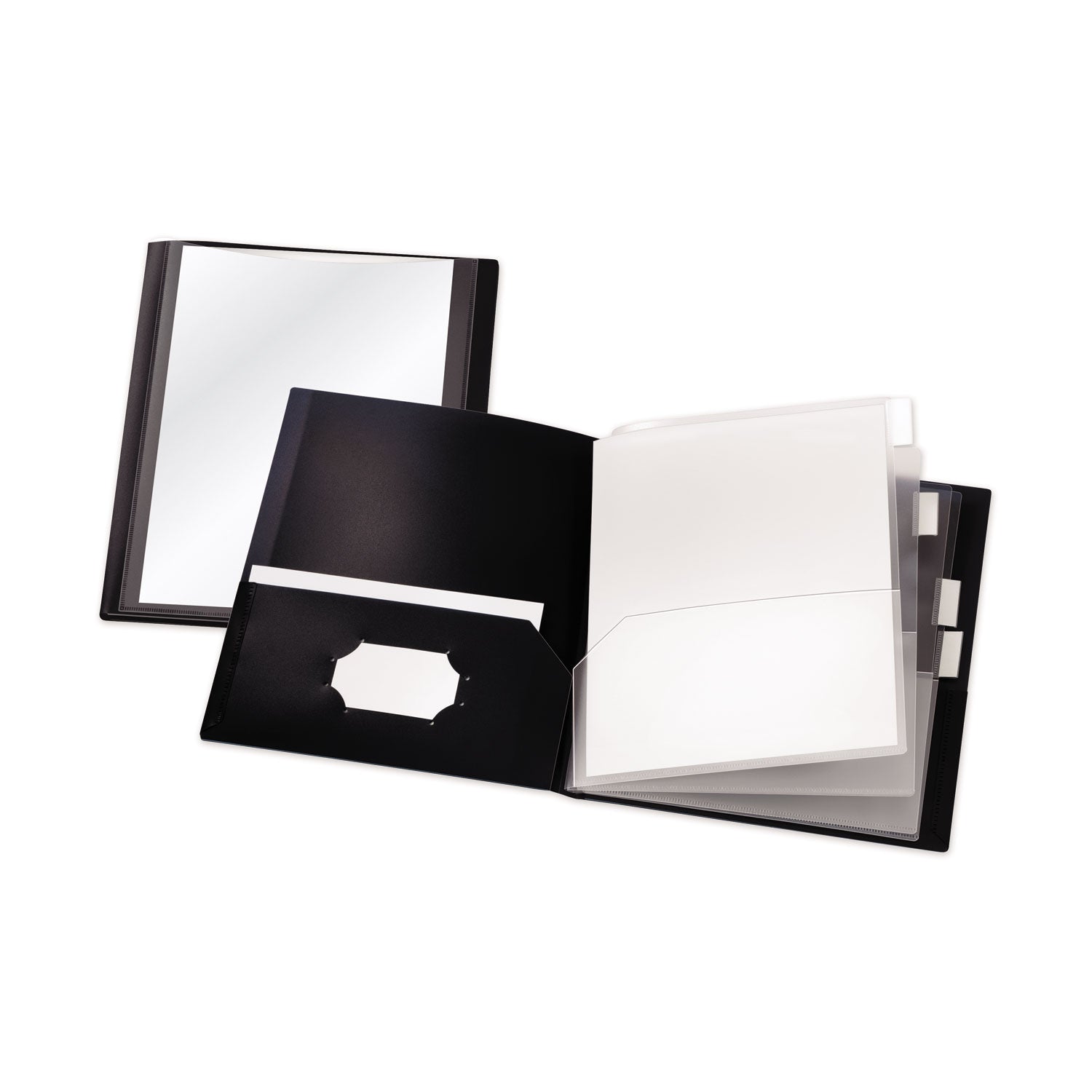 ReportPro 10-Pocket Project Organizer, 8.5 x 11, Clear/Black -