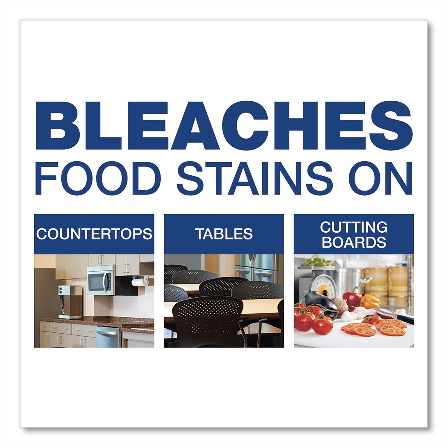 Cleaner with Bleach, Liquid, One Gallon Bottle -