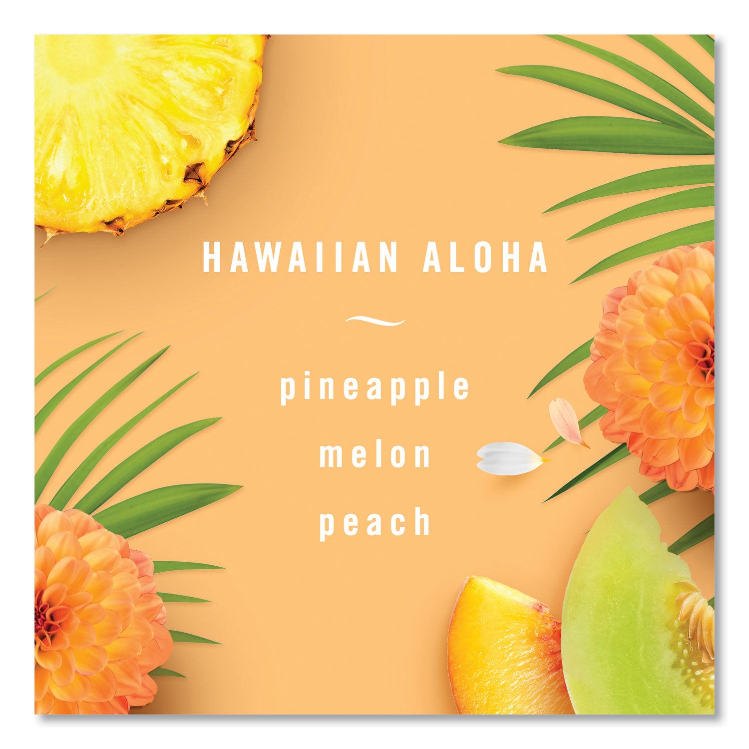air-hawaiian-aloha-88-oz-aerosol-spray-6-carton_pgc96260 - 2