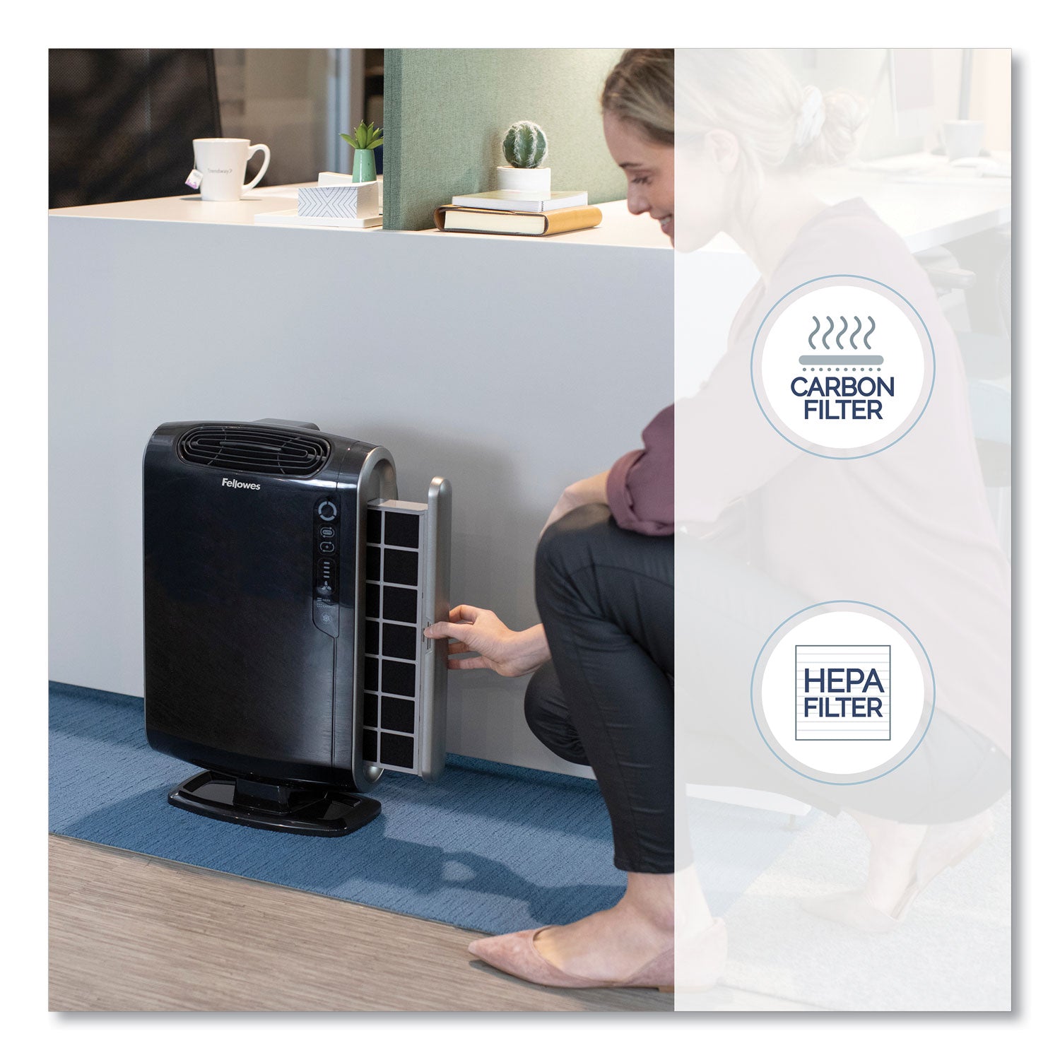 HEPA and Carbon Filtration Air Purifiers, 200 to 400 sq ft Room Capacity, Black -