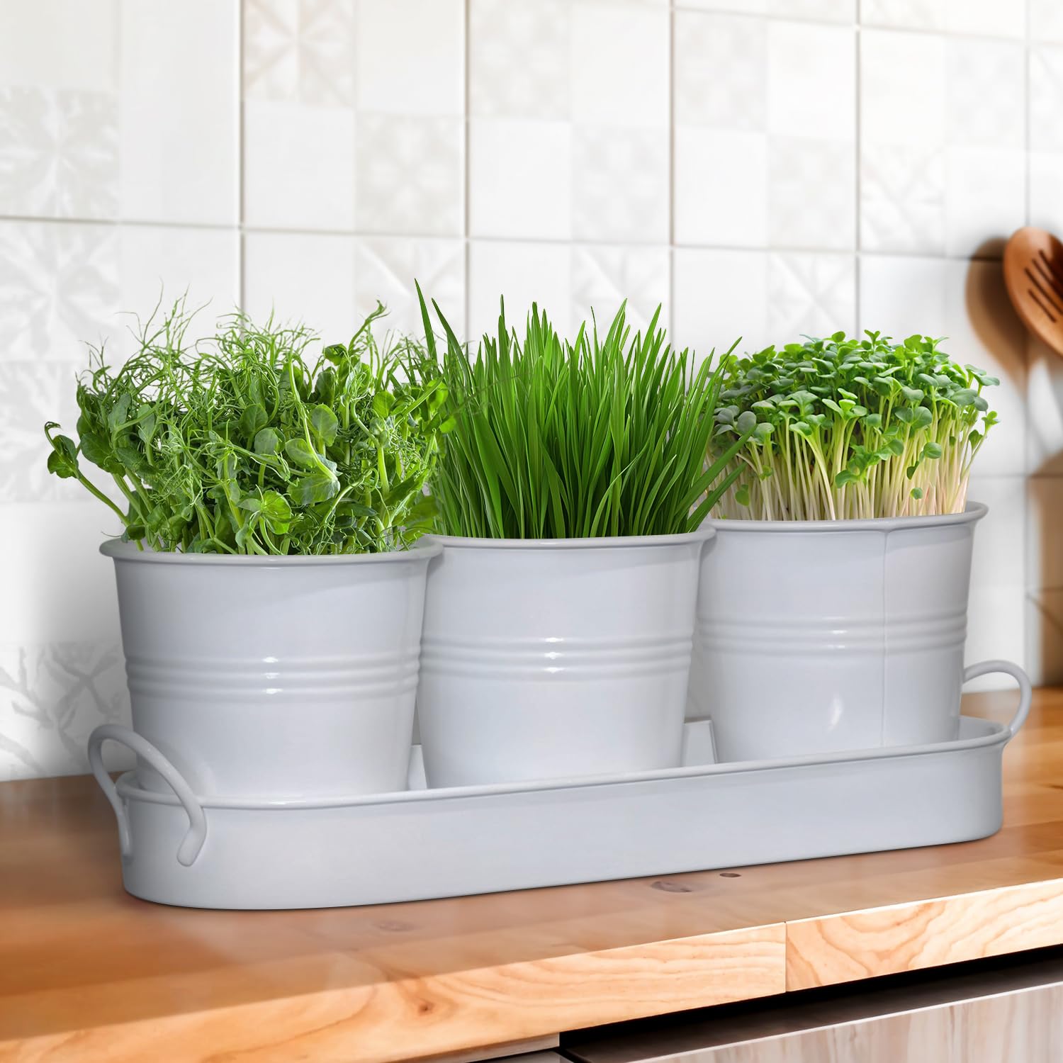 Set of 3 White Metal Garden Planters with Tray