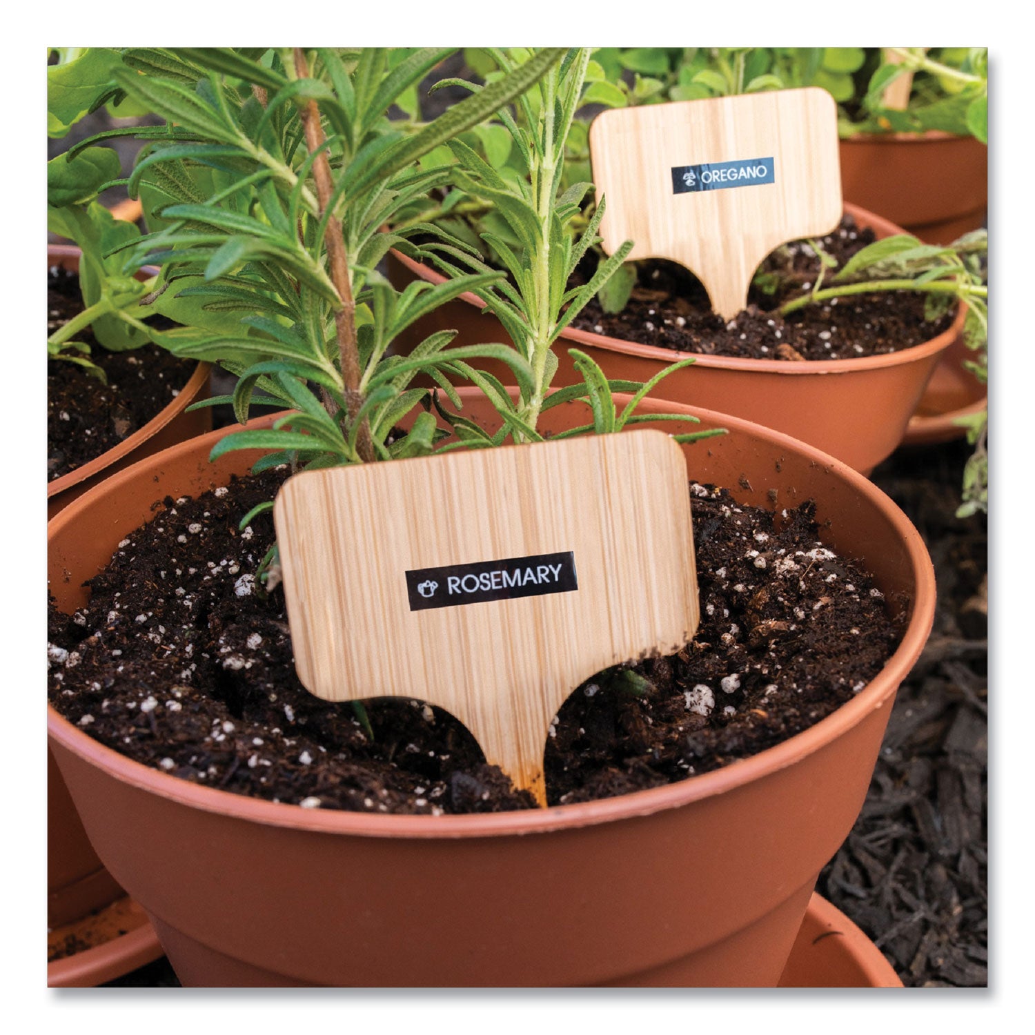 tze-standard-adhesive-laminated-labeling-tape-023-x-262-ft-white-on-black_brttze315 - 4