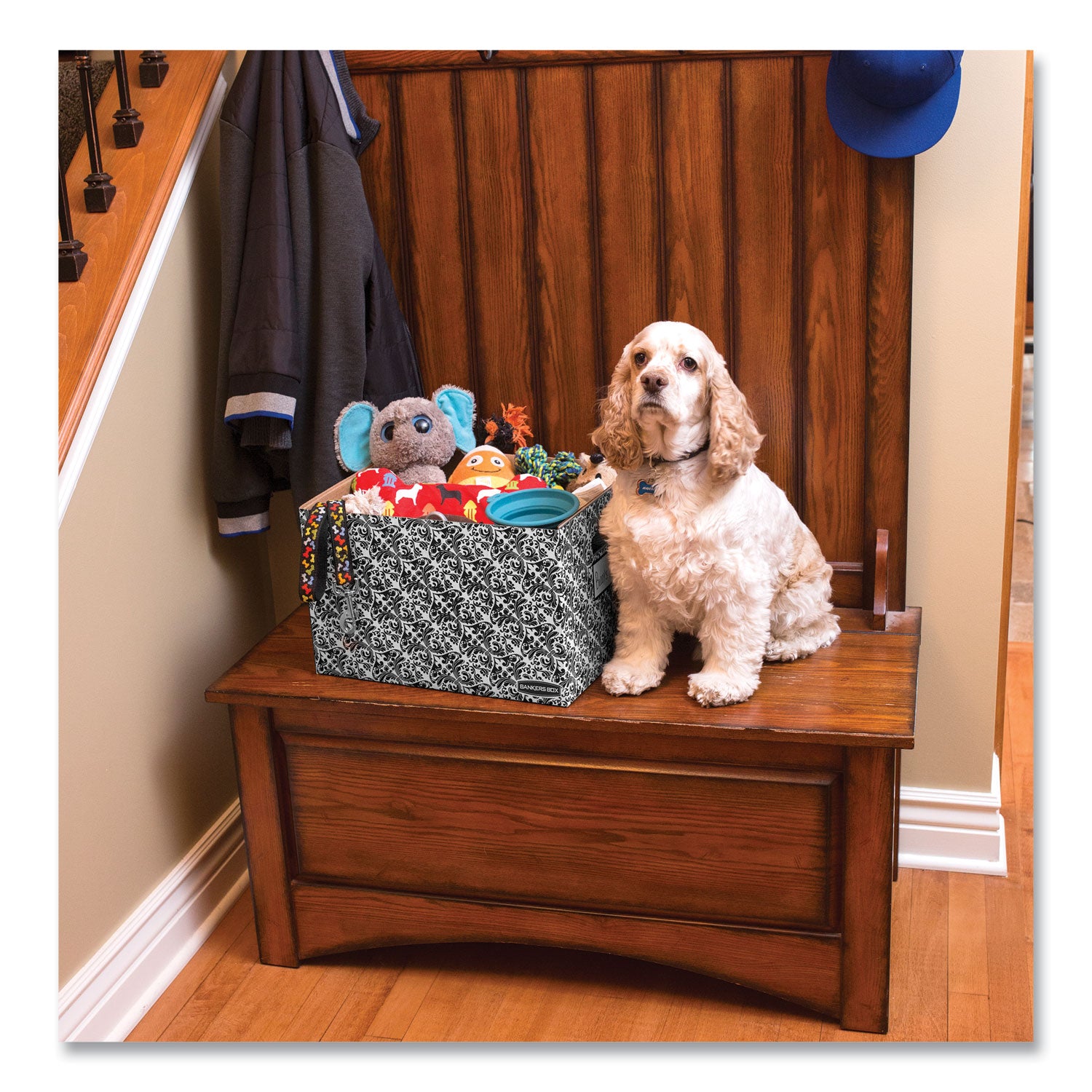 STOR/FILE Decorative Medium-Duty Storage Box, Letter/Legal Files, 12.5" x 16.25" x 10.5", Black/White Brocade Design, 4/CT -