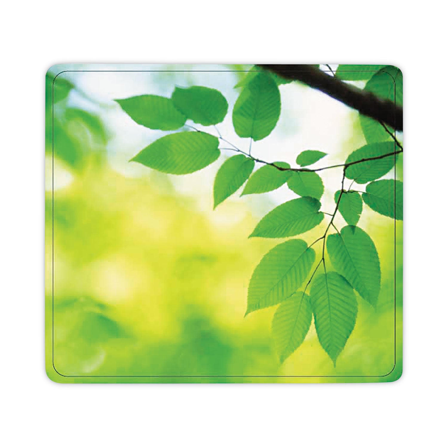 Recycled Mouse Pad, 9 x 8, Leaves Design -