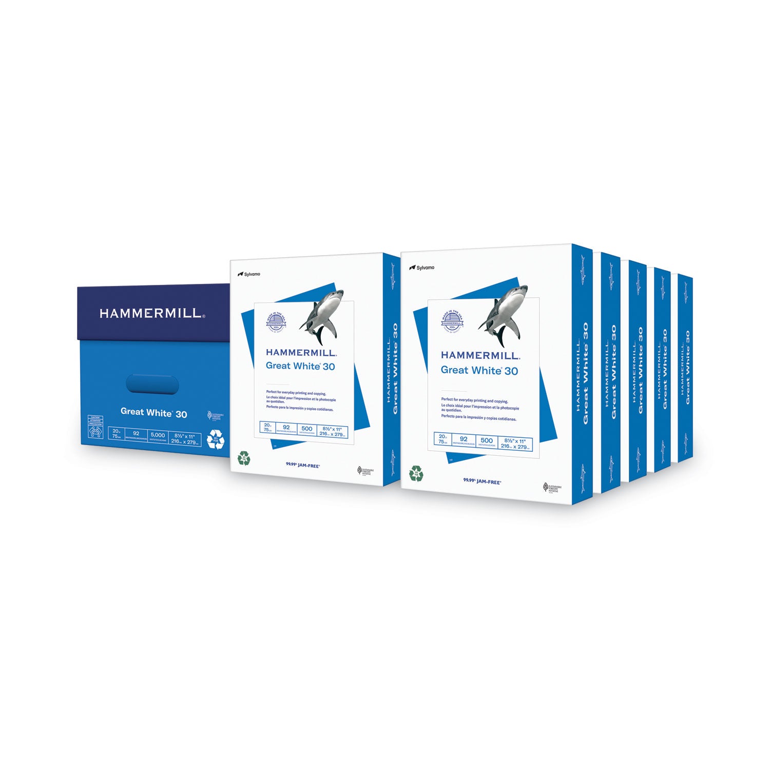 Great White 30 Recycled Print Paper, 92 Bright, 20 lb Bond Weight, 8.5 x 11, White, 500 Sheets/Ream, 10 Reams/Carton -