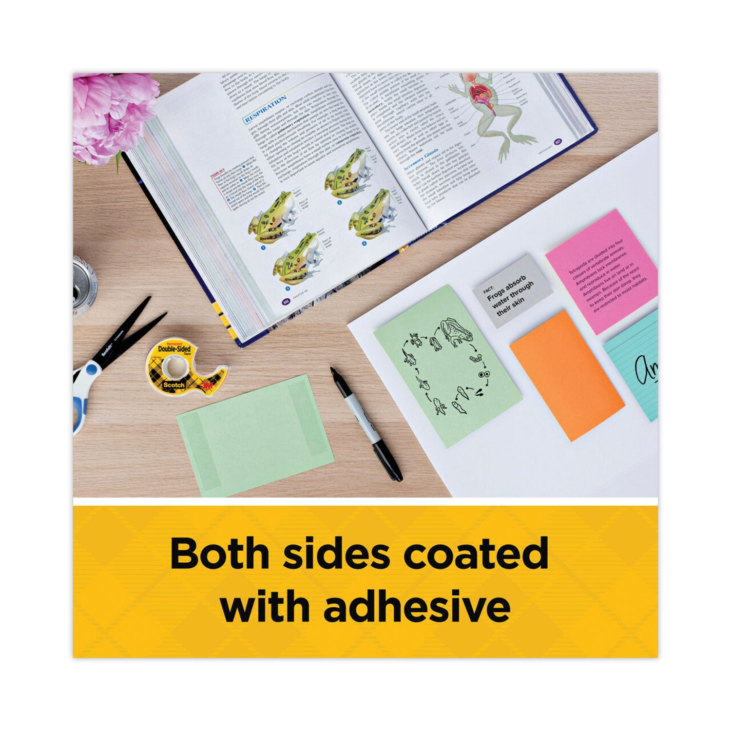 Double-Sided Removable Tape in Handheld Dispenser, 1" Core, 0.75" x 33.33 ft, Clear -